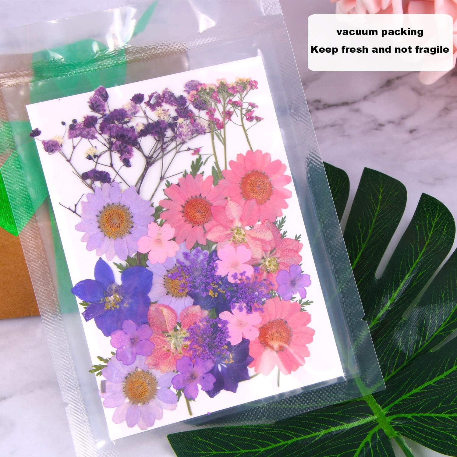 Colorful Real Dried Pressed Flowers Scrapbooking DIY Art Crafts Dried Flowers for Art Makeup Floral Decors 13