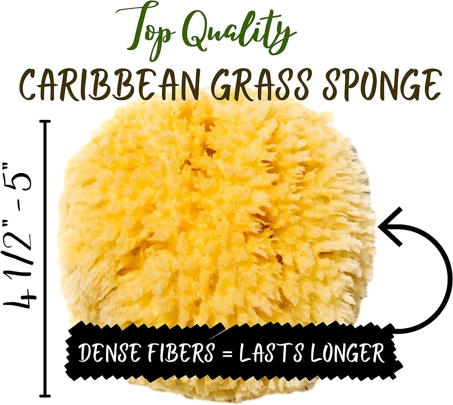 Natural Sea Sponge - Plastic Free Organic Sea Sponge: Grass Sponge