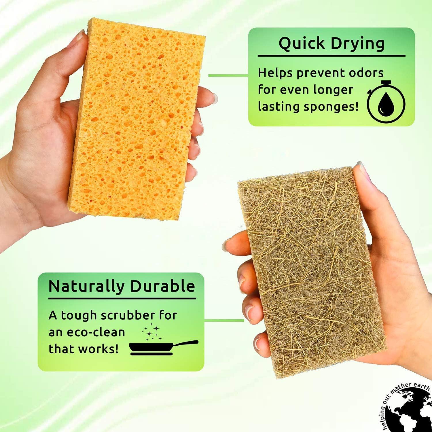 How Eco-Friendly is Your Dish Sponge? 5 Reasons Give Up Plastic