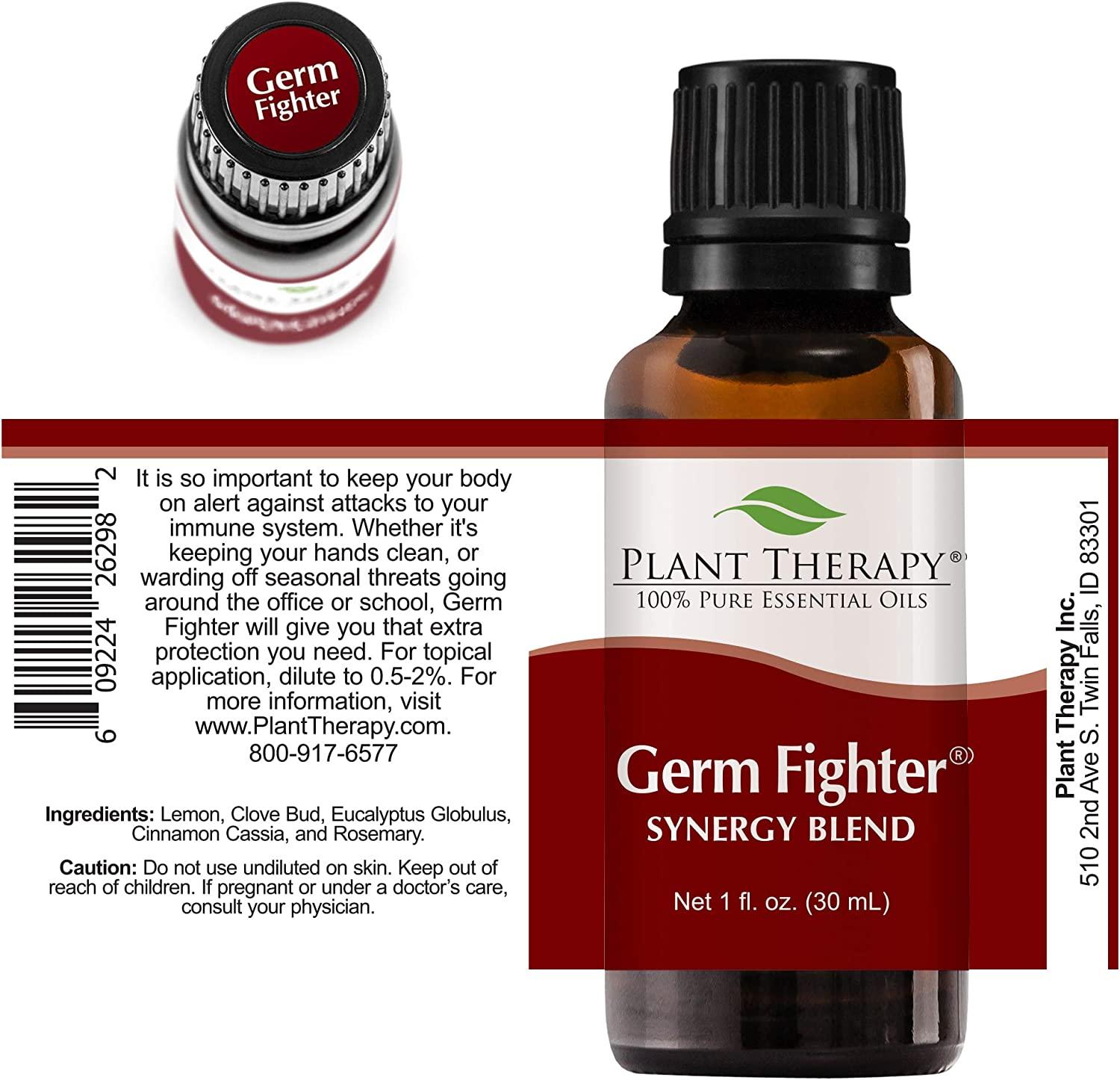 Plant Therapy Cinnamon Cassia Essential Oil 10 ml (1/3 oz) 100% Pure, Undiluted, Therapeutic Grade