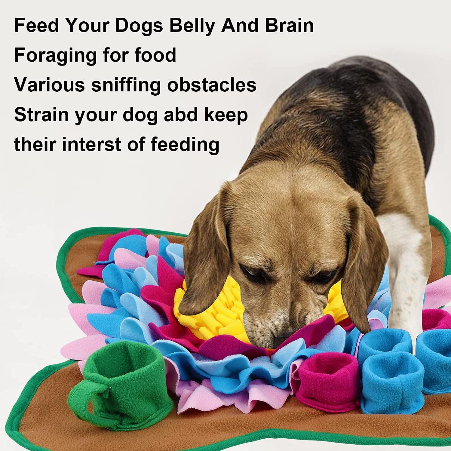 Snuffle Mat for Dogs Interactive Feed Game with Non Slip Bottom Pad Dog  Treats Feeding Mat Encourages Natural Foraging Skills