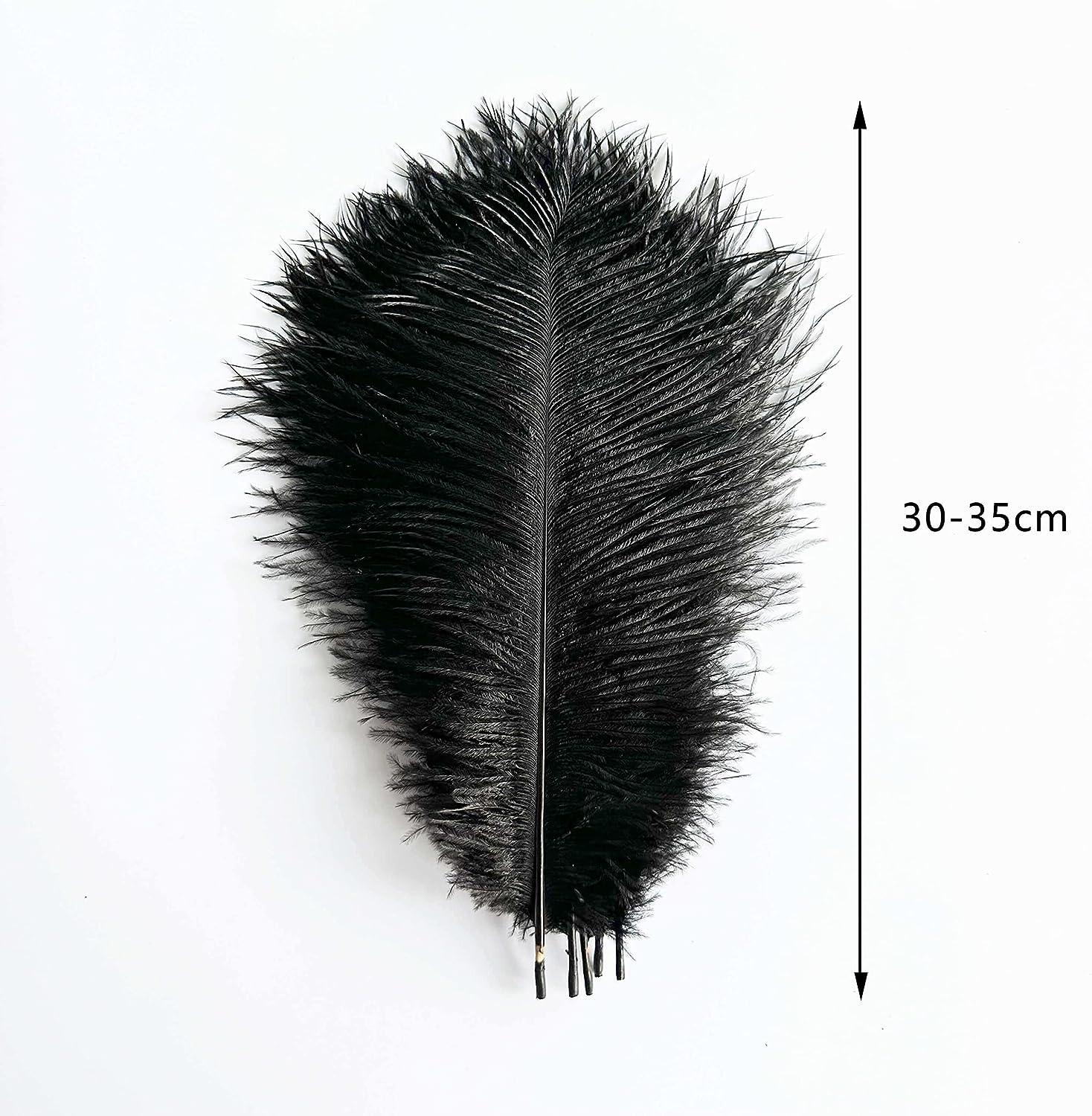 10pcs Black Ostrich Feathers for Crafts 12-14 inches (25-30 cm) Natural  Feathers Bulk for Home Decoration DIY, Wedding Party Centerpieces and  Flower