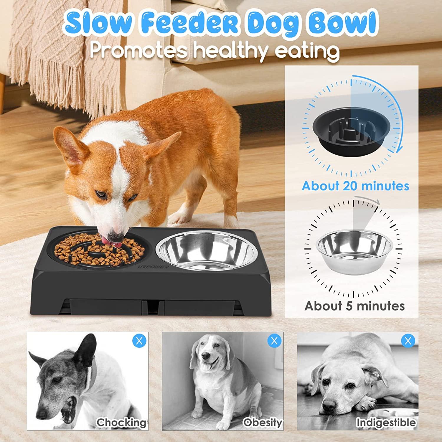 Elevated Dog Bowls 3 Adjustable Heights Raised Dog Food Water Bowl with  Slow Feeder Bowl Standing Dog Bowl for Medium Large Dogs