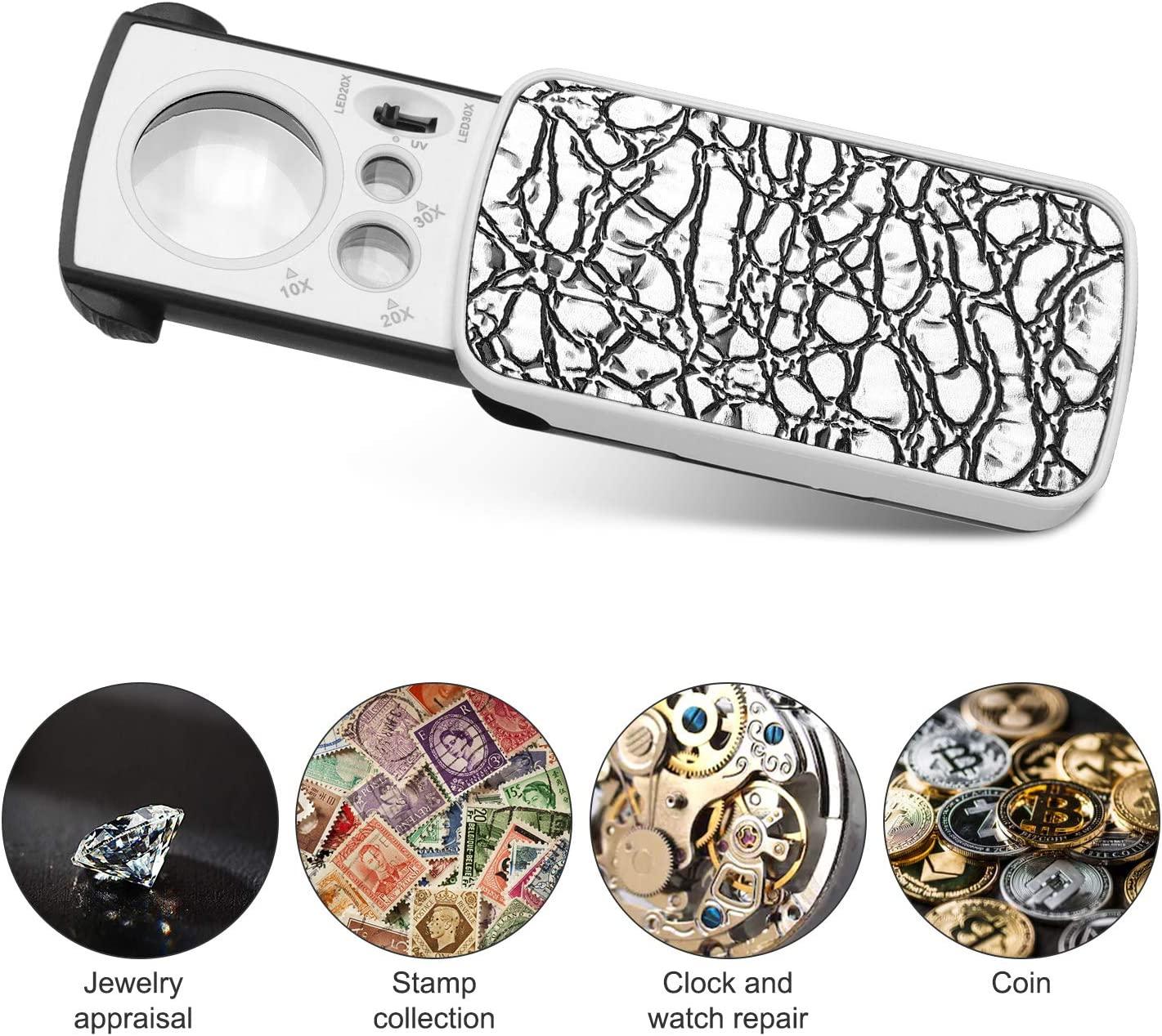 JARLINK 30X 60X Illuminated Jewelers Loupe Magnifier, Foldable