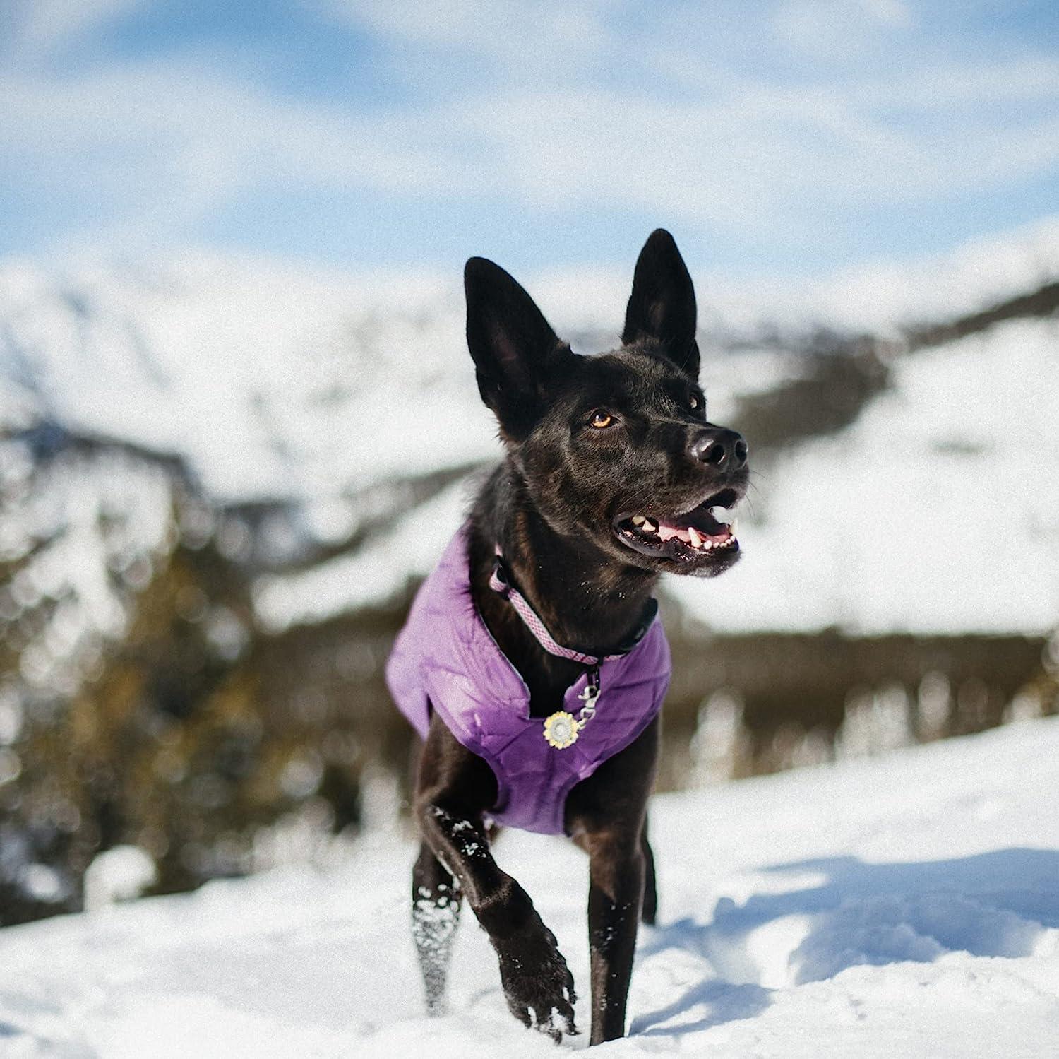 Kurgo Loft Dog Jacket - Reversible Fleece Winter Coat - Cold