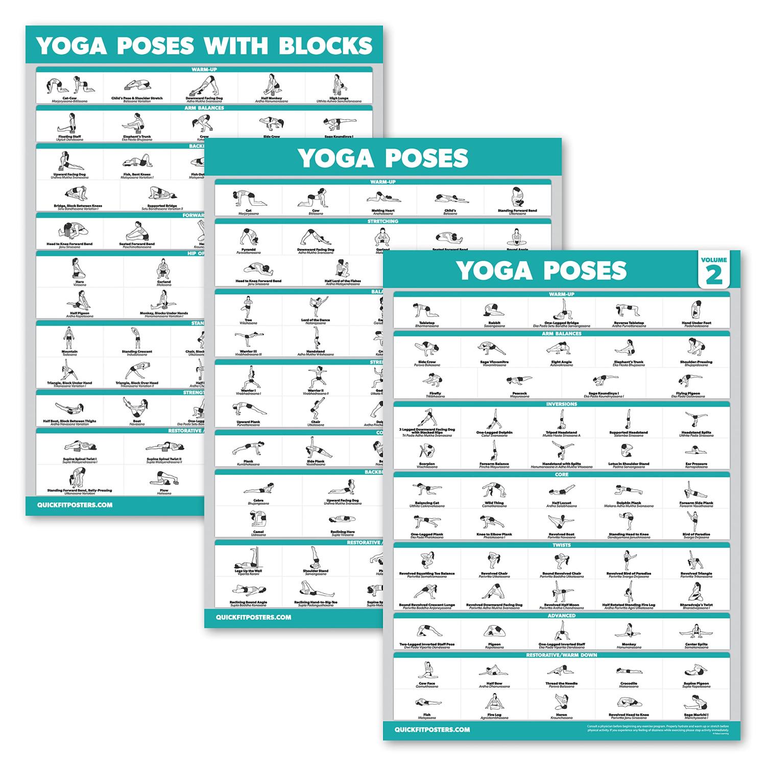 QuickFit Yoga Poses Poster - Newbie Yoga Place Chart - English and Sanskrit  Names - Double Si... | Yoga poses chart, Yoga for beginners, Basic yoga  poses