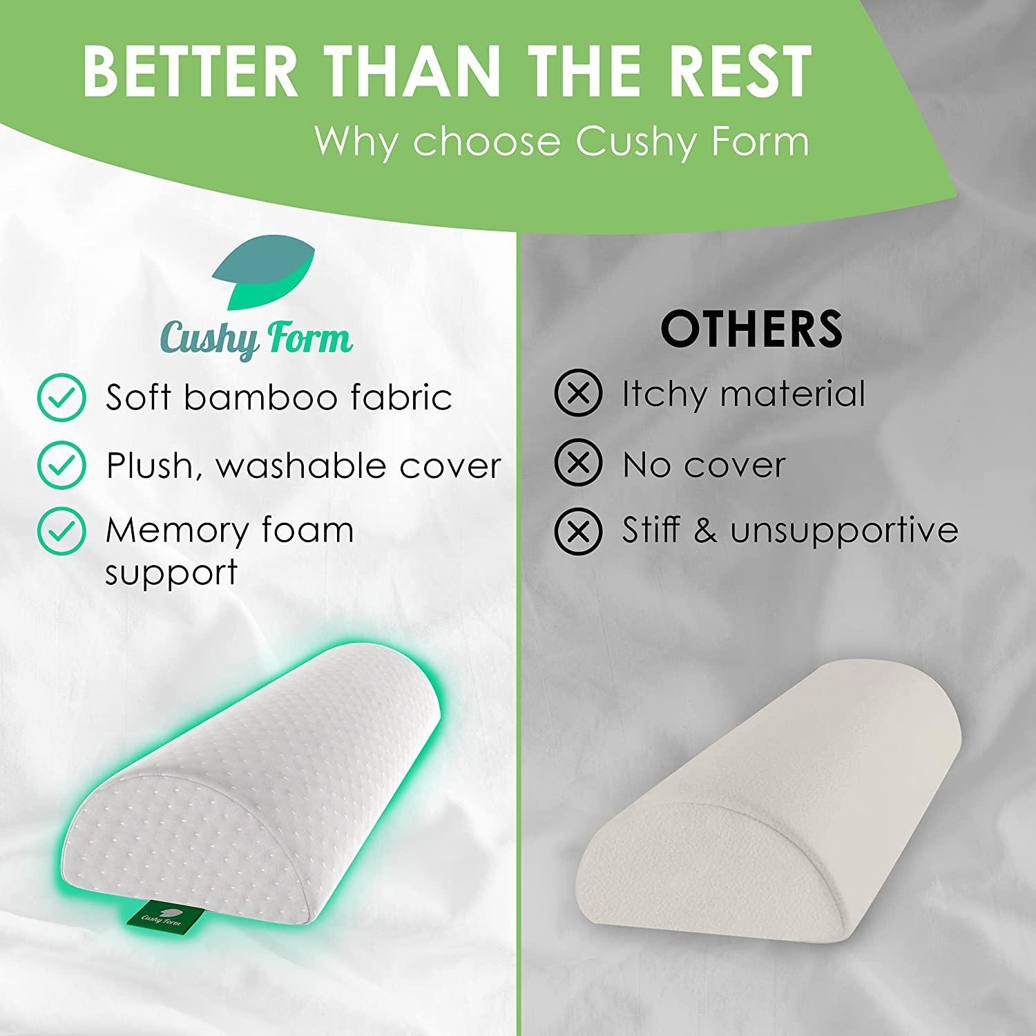 Memory Foam Lumbar Support Cushion with Plush Casing