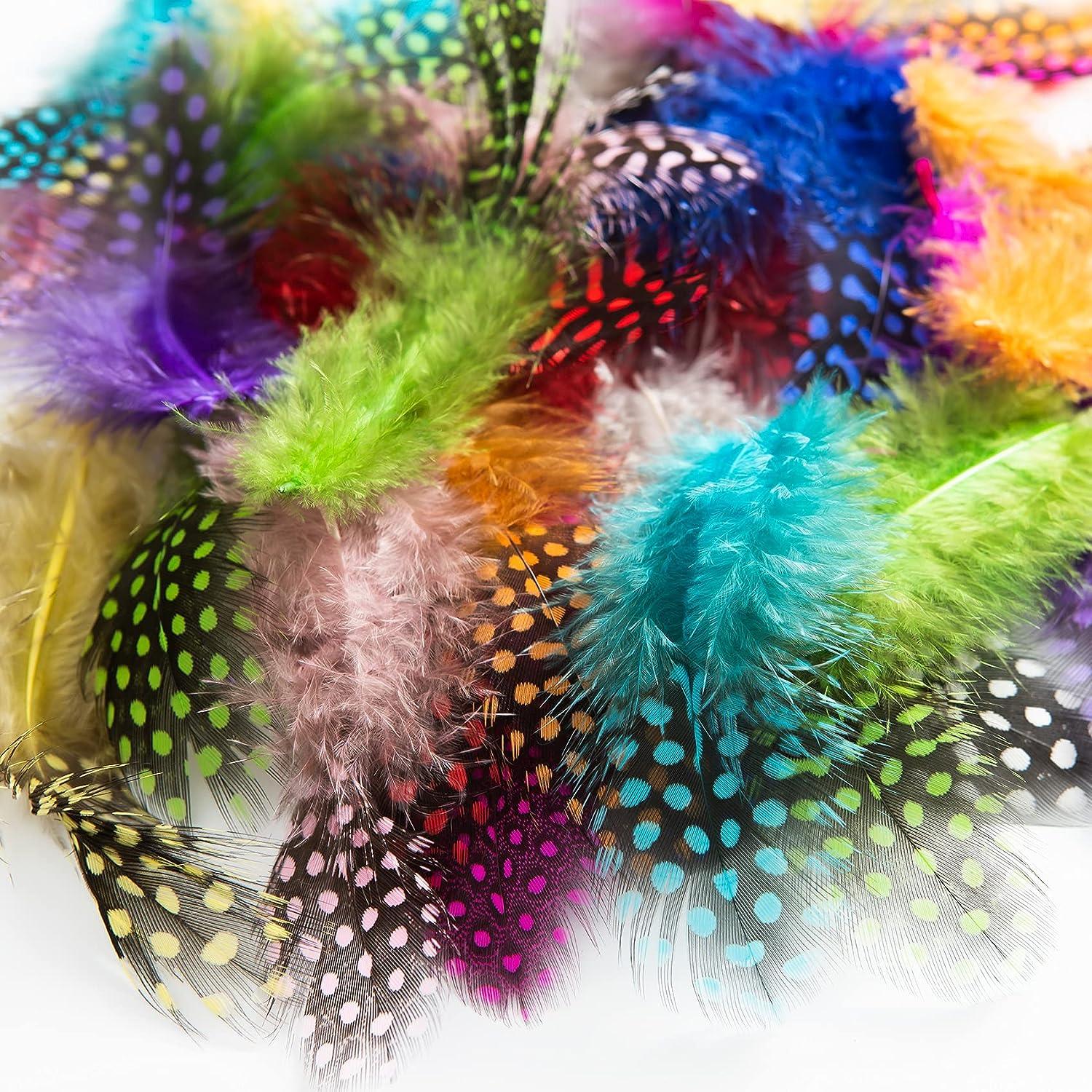 Coceca 300 Pcs Colorful Feathers for DIY Craft Wedding Home Party Decorations