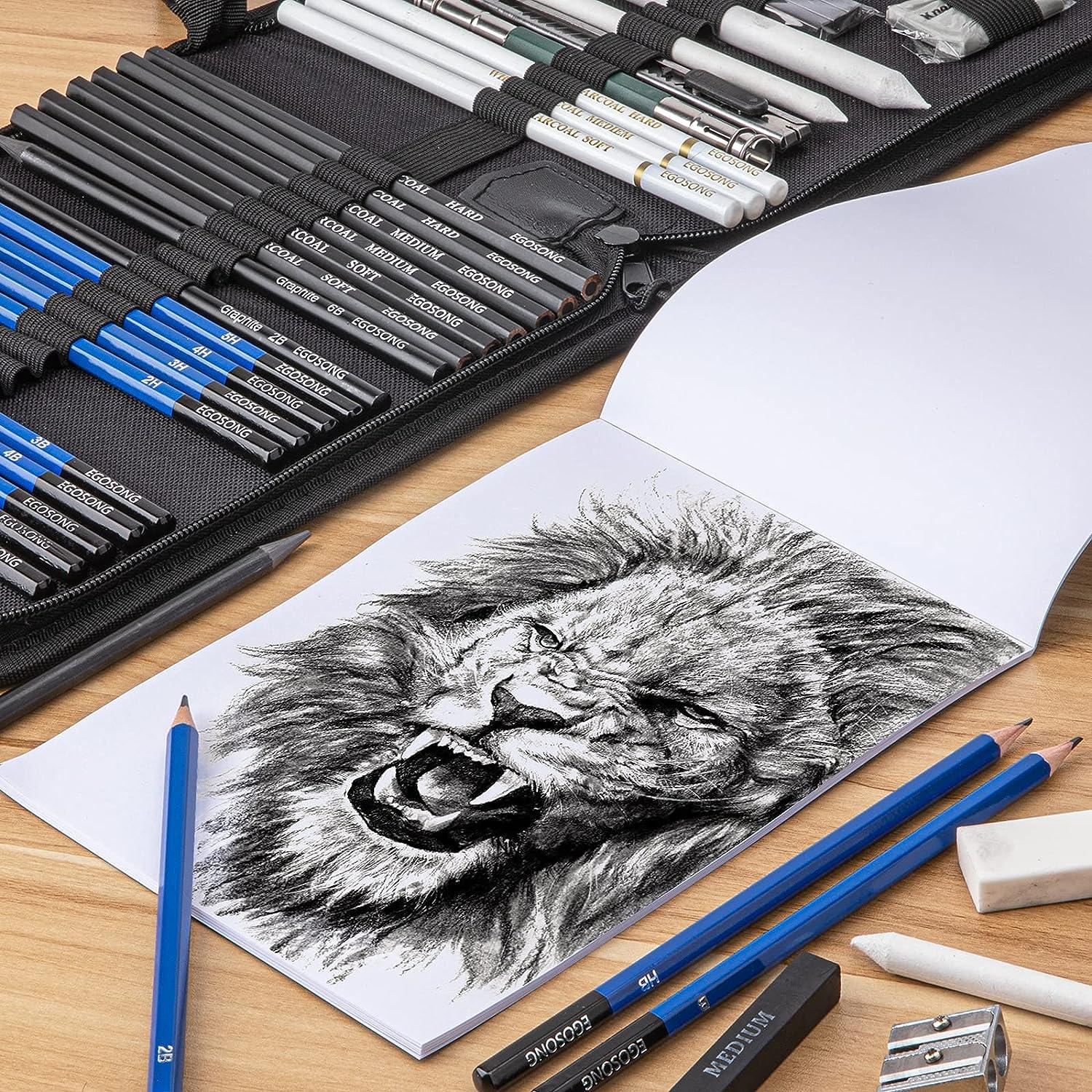 Ultimate Beginners Pencil Sketching Kit (Set of 38) —