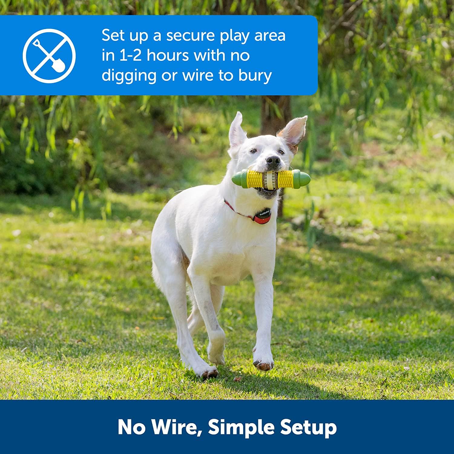 PetSafe Stay and Play Wireless Pet Fence for Stubborn Dogs from