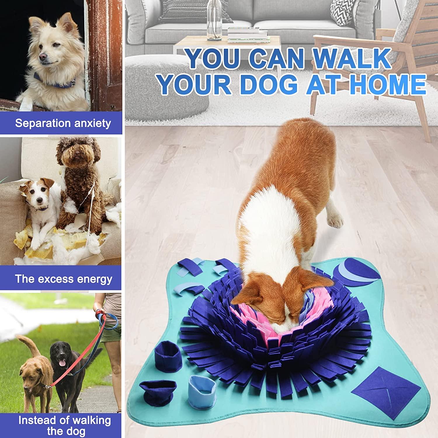 Best snuffle mats for dogs: to encourage natural foraging instincts