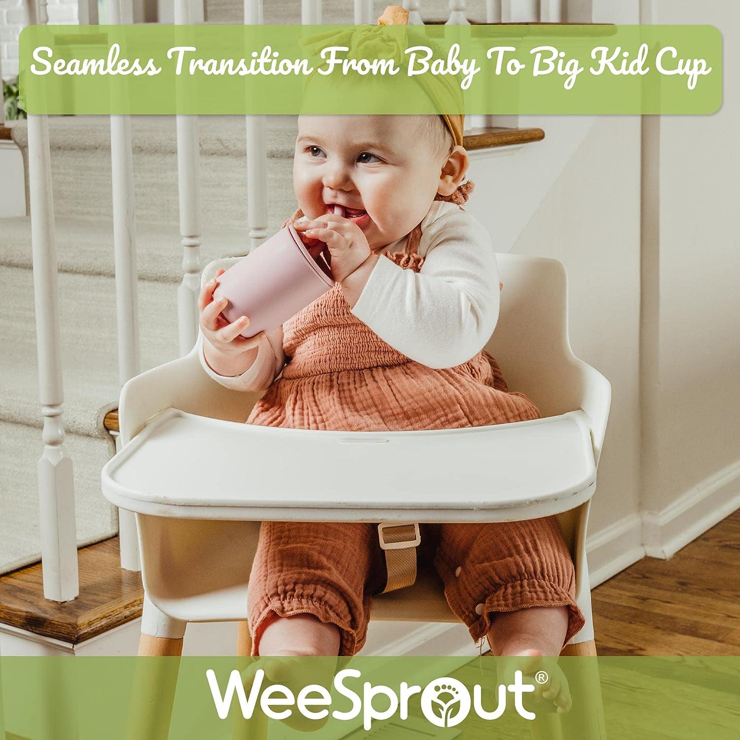 WeeSprout Glass Cups With Lids & Straws, Spill-Resistant  Smoothie Cups for Toddlers & Kids, Triple as Toddler Cups, Baby Food  Storage & Snack Jars, XL Silicone Straws, Easy-grip Sleeves, Set