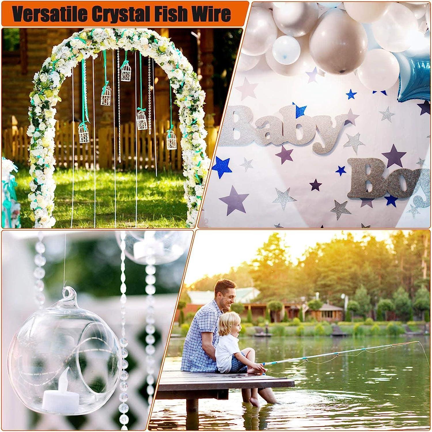 Hanging Wire Clear, Acejoz Thick Fishing Line Nylon String Picture Frame  Wire with 100Pcs Crimps Sleeves 70lb Invisible Line for Balloon Garland  Picture Hanging Decoration and Crafts (656 Feet) - Yahoo Shopping