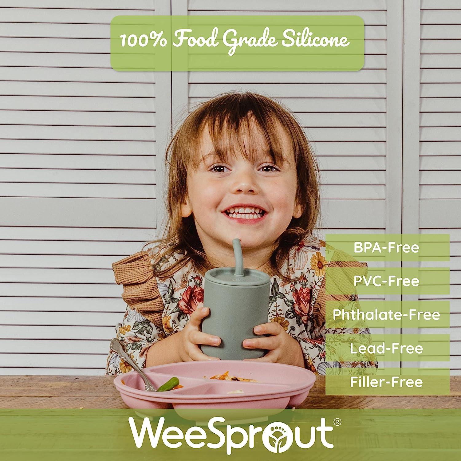 WeeSprout Glass Cups With Lids & Straws, Spill-Resistant  Smoothie Cups for Toddlers & Kids, Triple as Toddler Cups, Baby Food  Storage & Snack Jars, XL Silicone Straws, Easy-grip Sleeves, Set