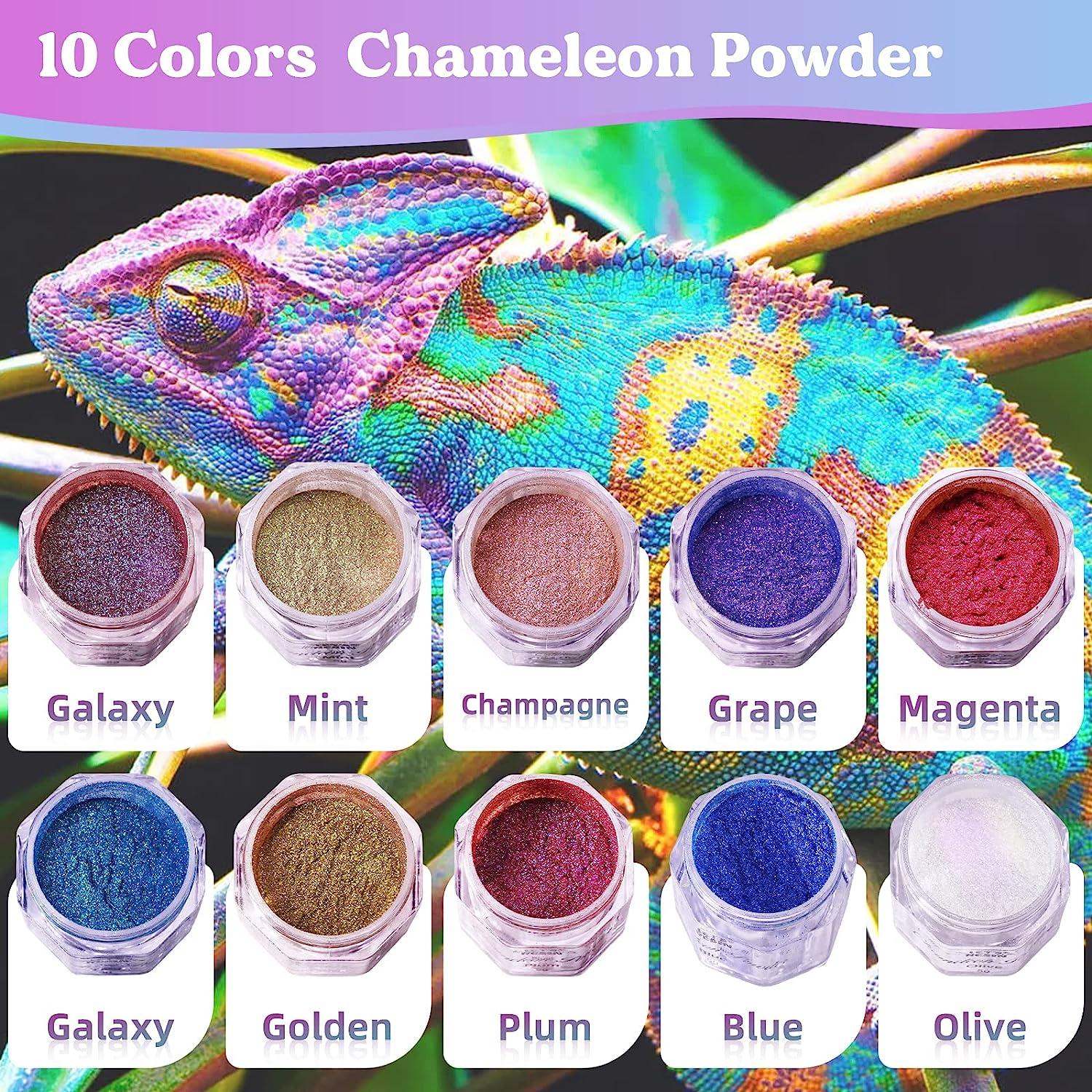 LET'S RESIN Chameleon Mica Powder, 10 * 5g Color Shift Mica Powder for  Epoxy Resin/Tumbler, Saturated Color Shifting Chrome Pigment Powder for  Painting,Slime,Nails