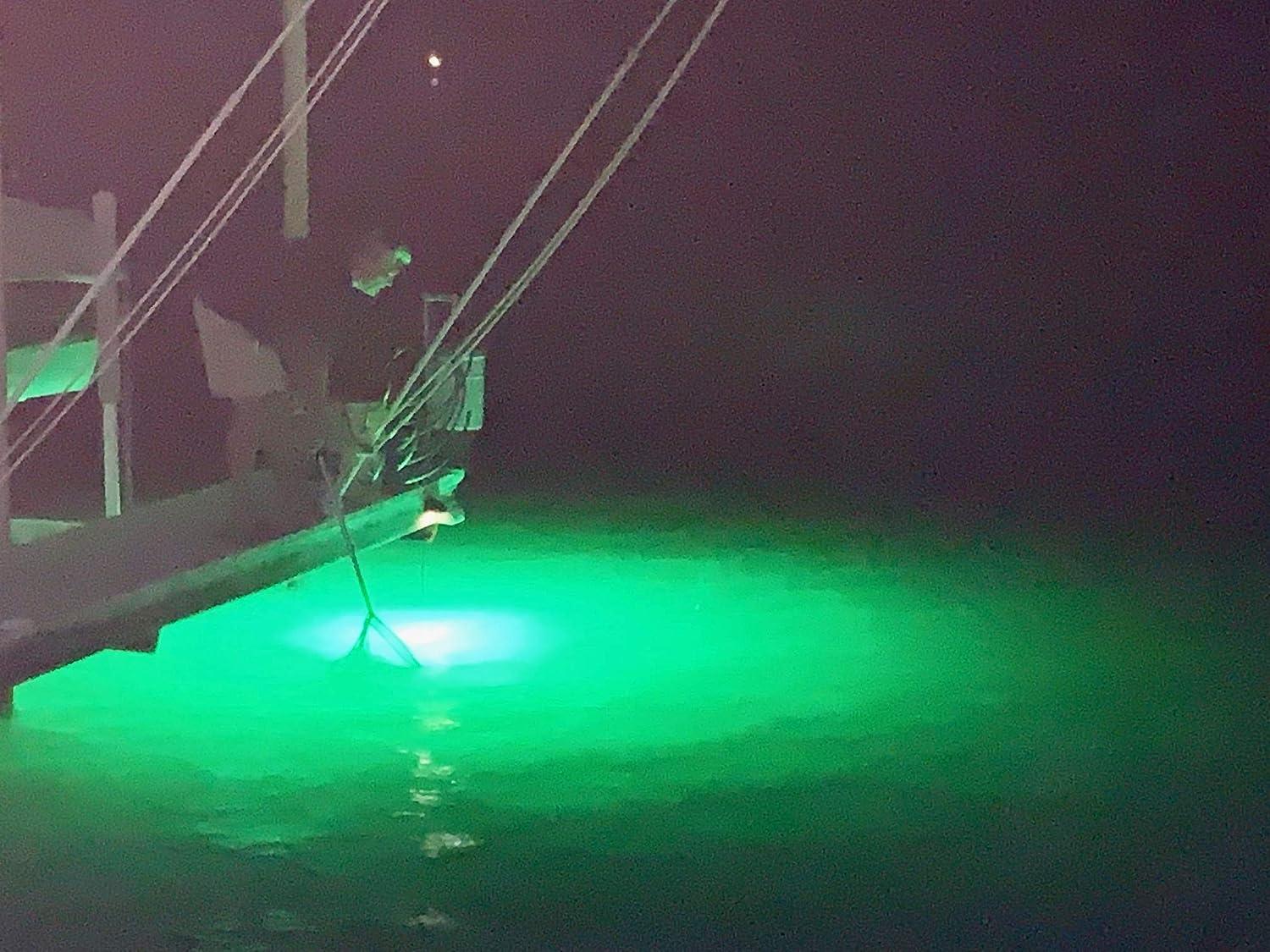Fishing Lights LED Underwater Battery Powered for Boat Dock Waterproof Lure  Bait