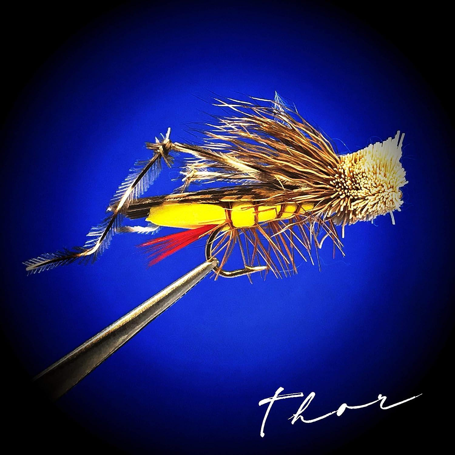 Dave's Hopper Dry Fly Fishing Set - 6 Pcs, Hook Size #10