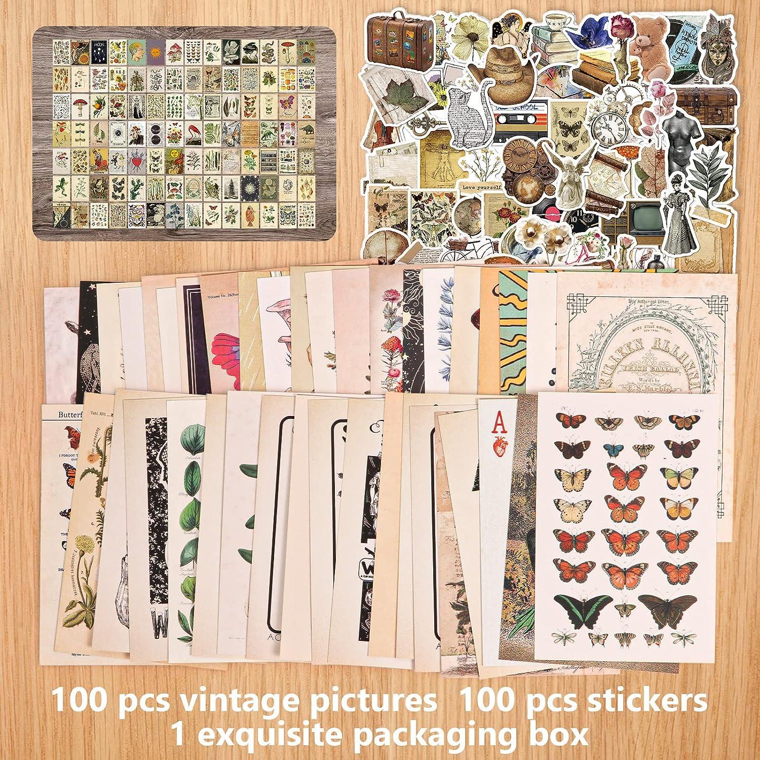 puthiac 200PCS Vintage Photo Wall Collage Kit Aesthetic Posters and Vintage  Stickers Double-Sided Printed Aesthetic Pictures Stickers for Cottagecore  Vintage Room Decor and Scrapbooking Supplies Kit