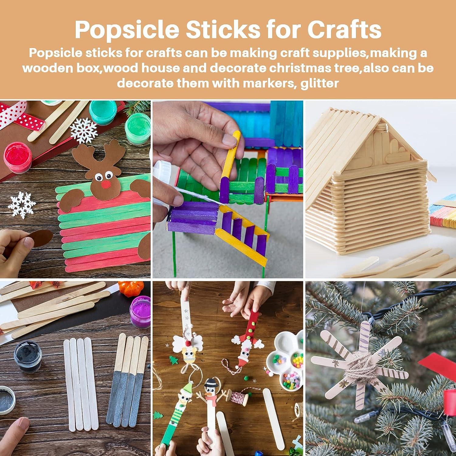 Popsicle Stick Art - Project