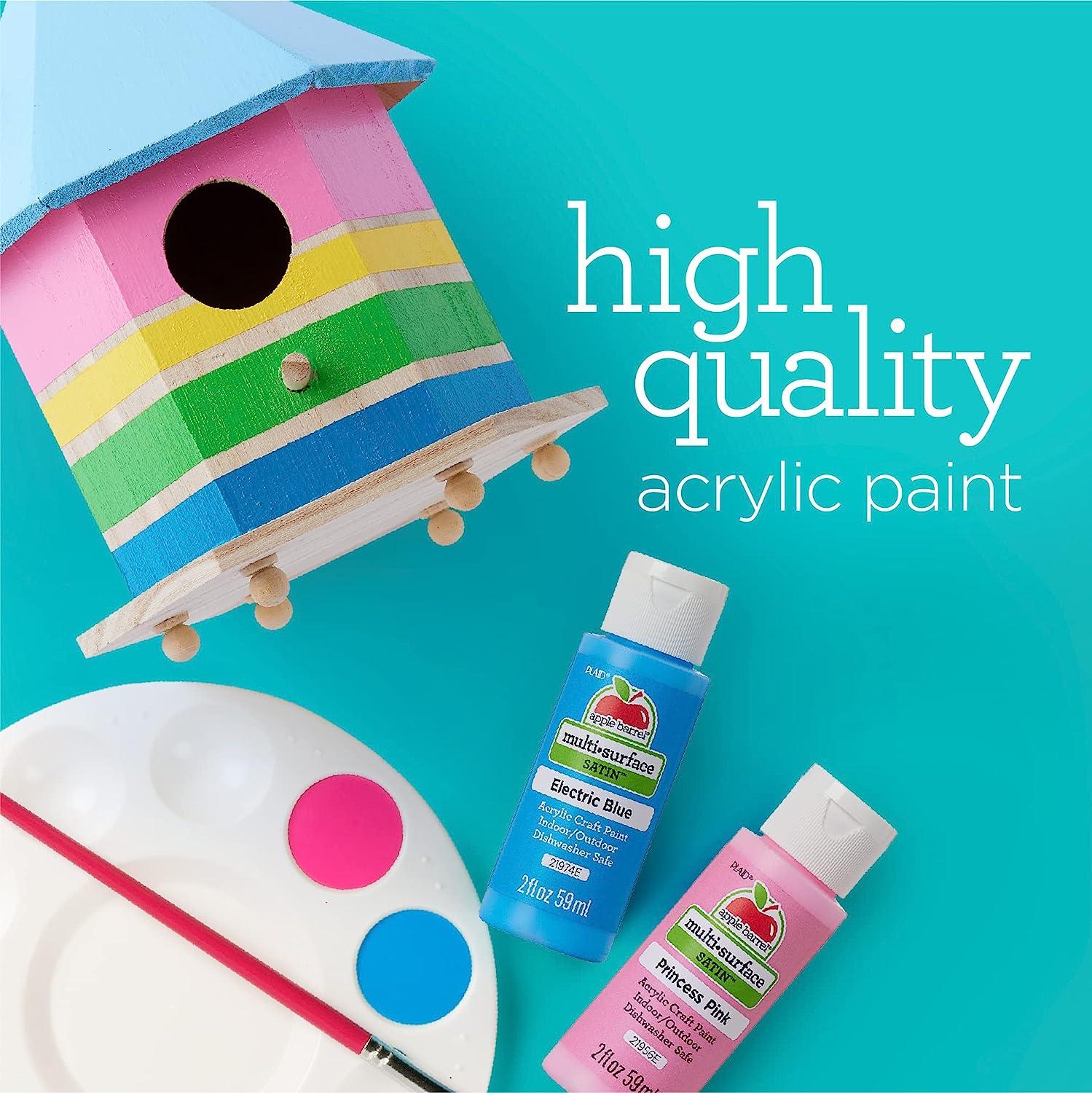 2oz Apple Barrel Acrylic Paints Set (GLOSS) **Assorted Colors**