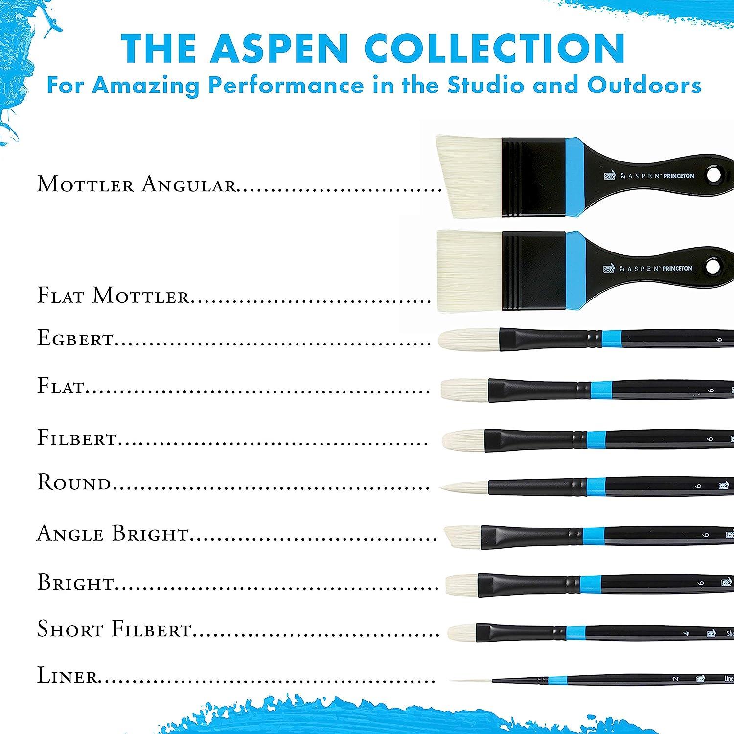 Princeton Aspen, Series 6500, Synthetic Paint Brush Turkey