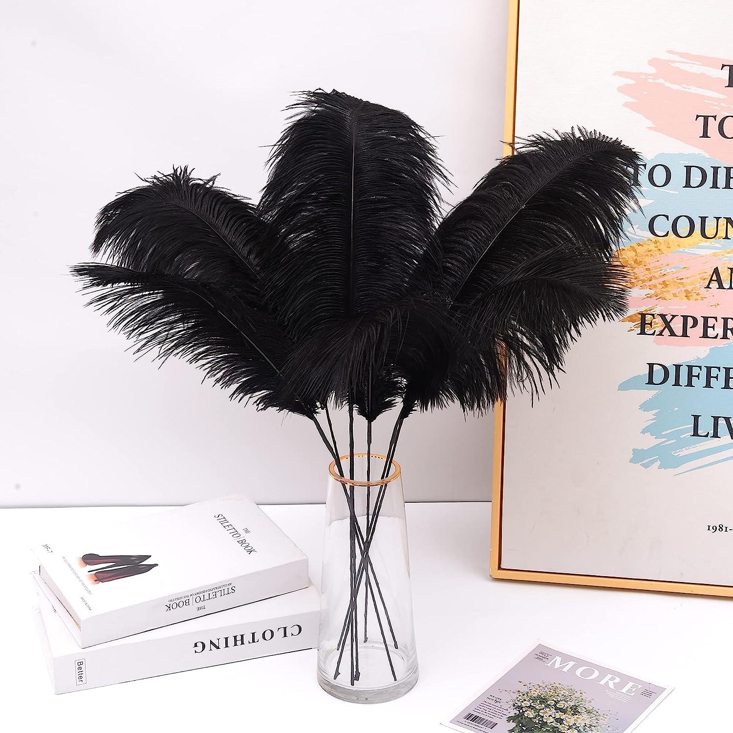  Crowye 98 Pcs Black Ostrich Feathers Bulk 6-8 Inch Black  Feathers for Centerpieces Craft Ostrich Feathers for Vase for Wedding Party  Home Costume Decorations : Arts, Crafts & Sewing