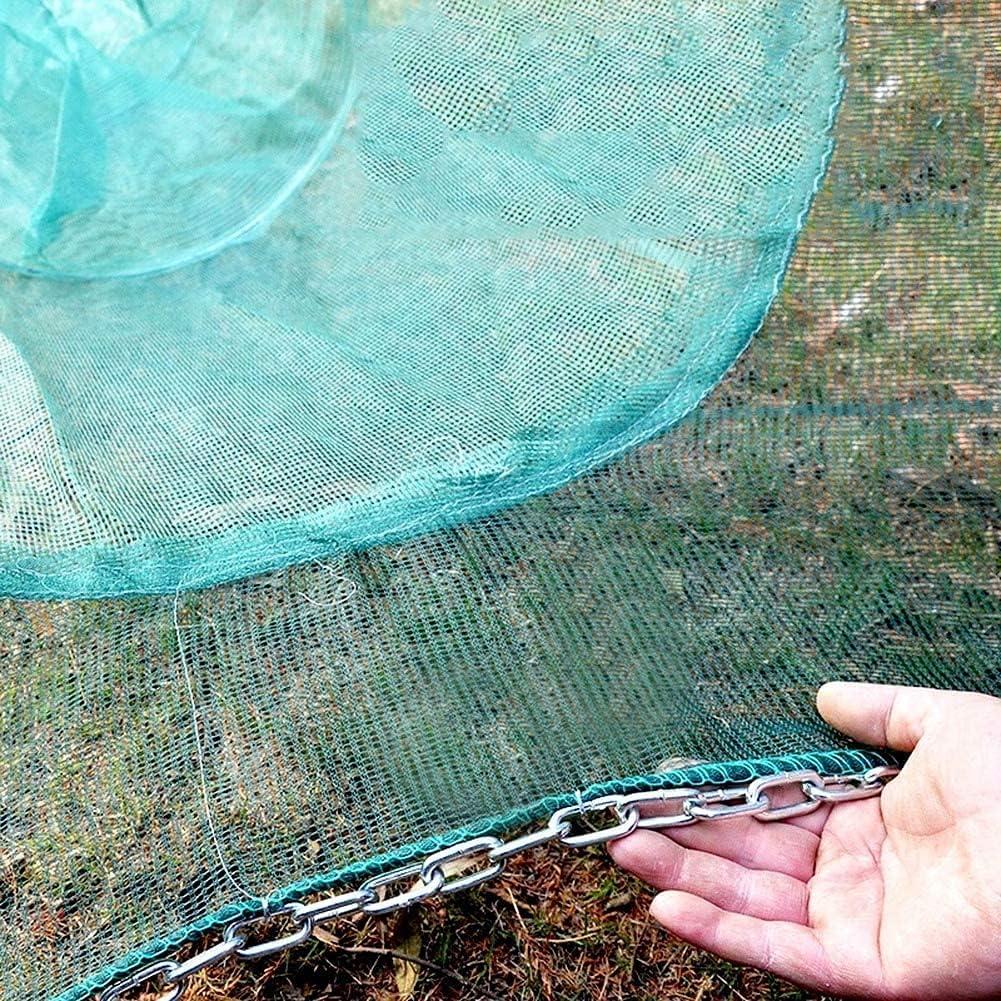 Lawaia Fishing Net Trap,Crawfish Trap?Crab Fish Trap Portable Folded  Umbrella Shaped 6 Holes Fish Shrimp Minnow Crayfish Crab Baits Cast Mesh  Trap (6 Sides 12 Holes-(1pack)) : : Sports & Outdoors