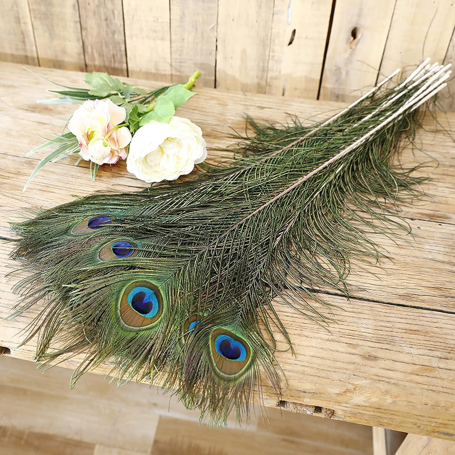 Peacock Decoration Wedding Feathers
