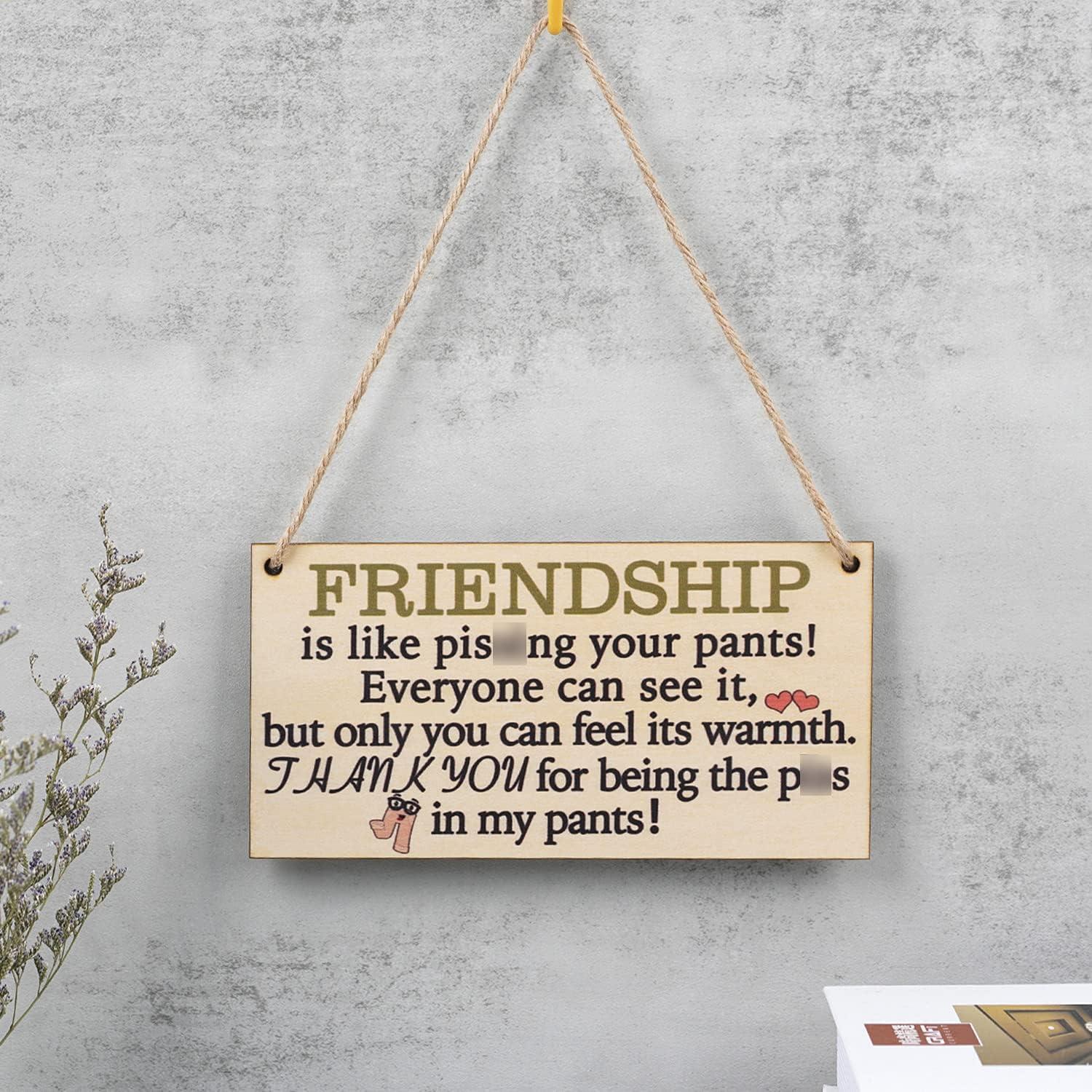 Funny Best Friend Blanket, Best Friend Mothers Day or Birthday Gifts For |  eBay