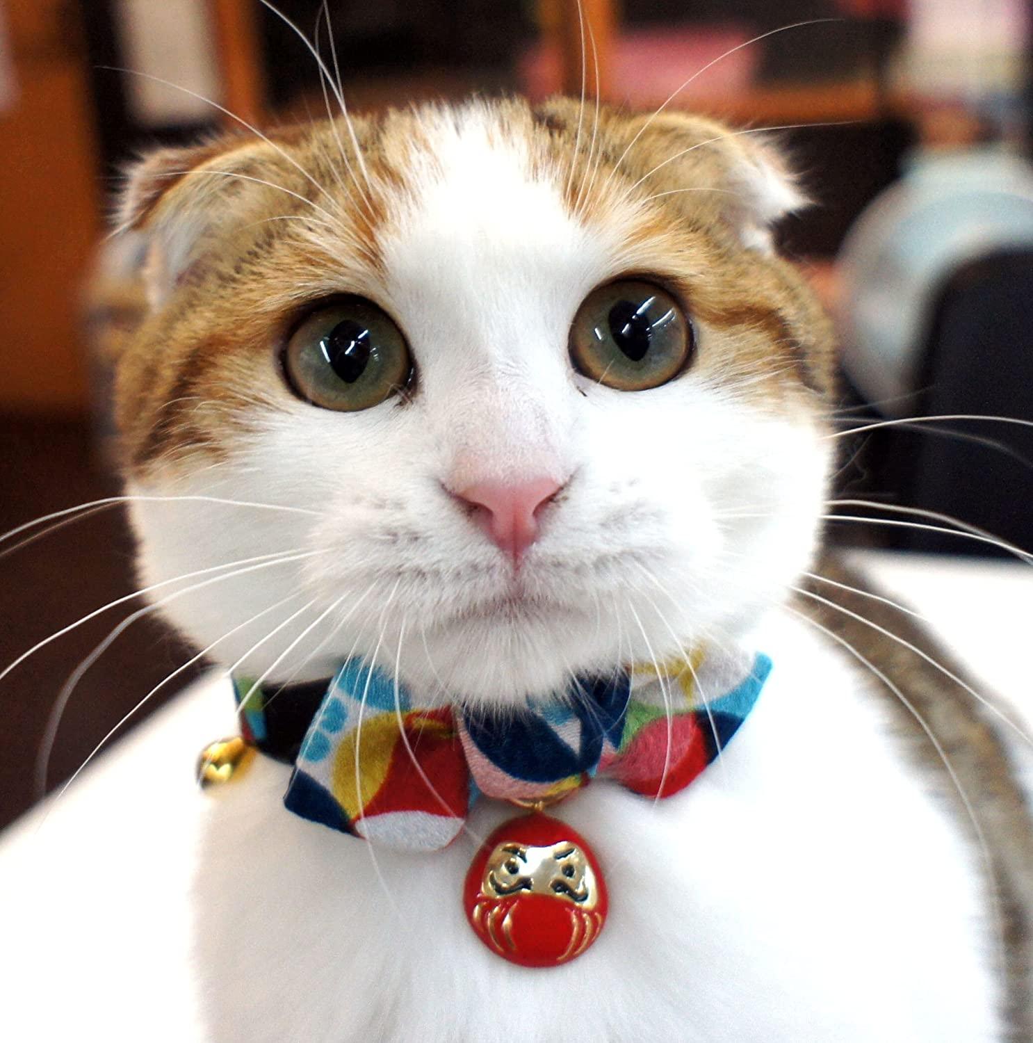 Pet Supplies : Necoichi Ninja Cat Collar (Red) 