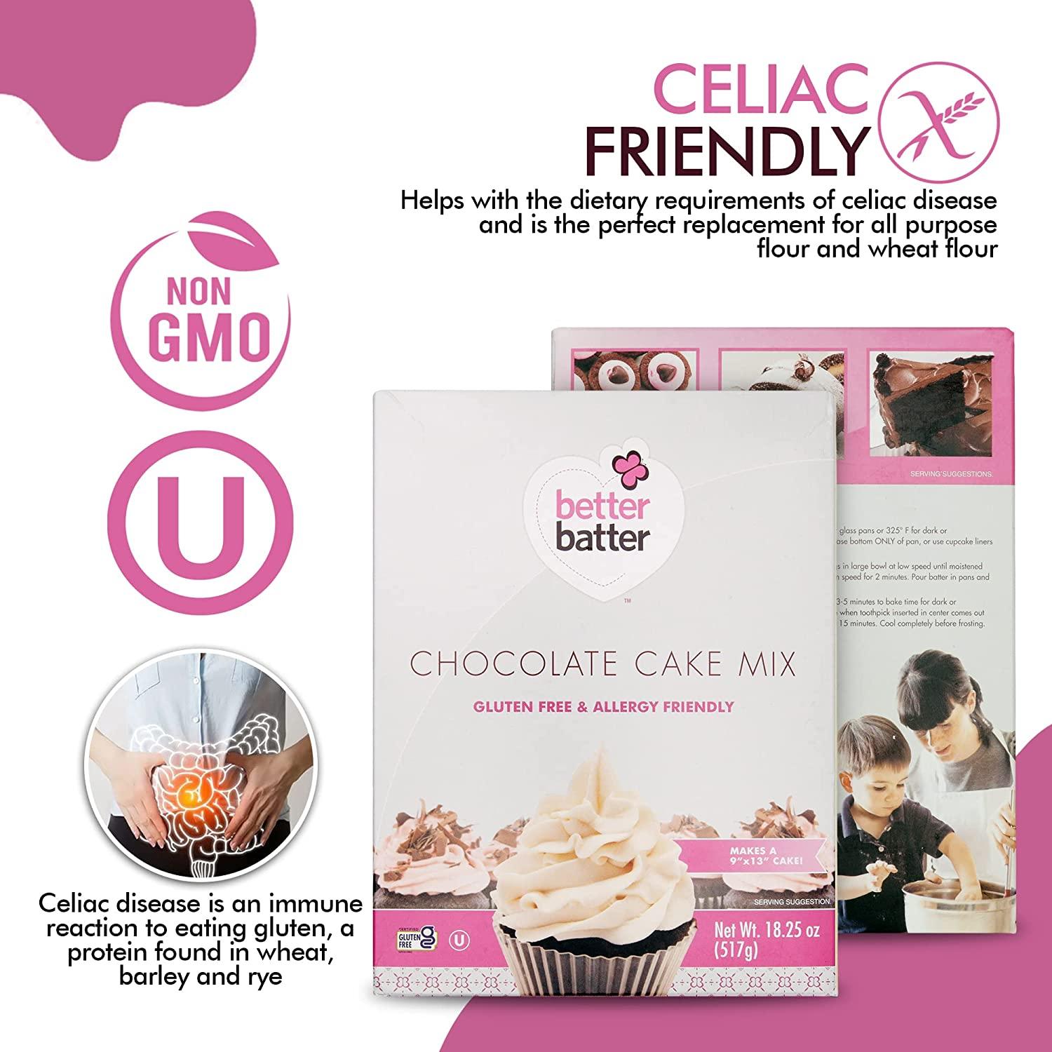 Better Batter Gluten Free Flour Chocolate Cake Baking Mix, Top 8 Allergen  Free, Delicious and Moist