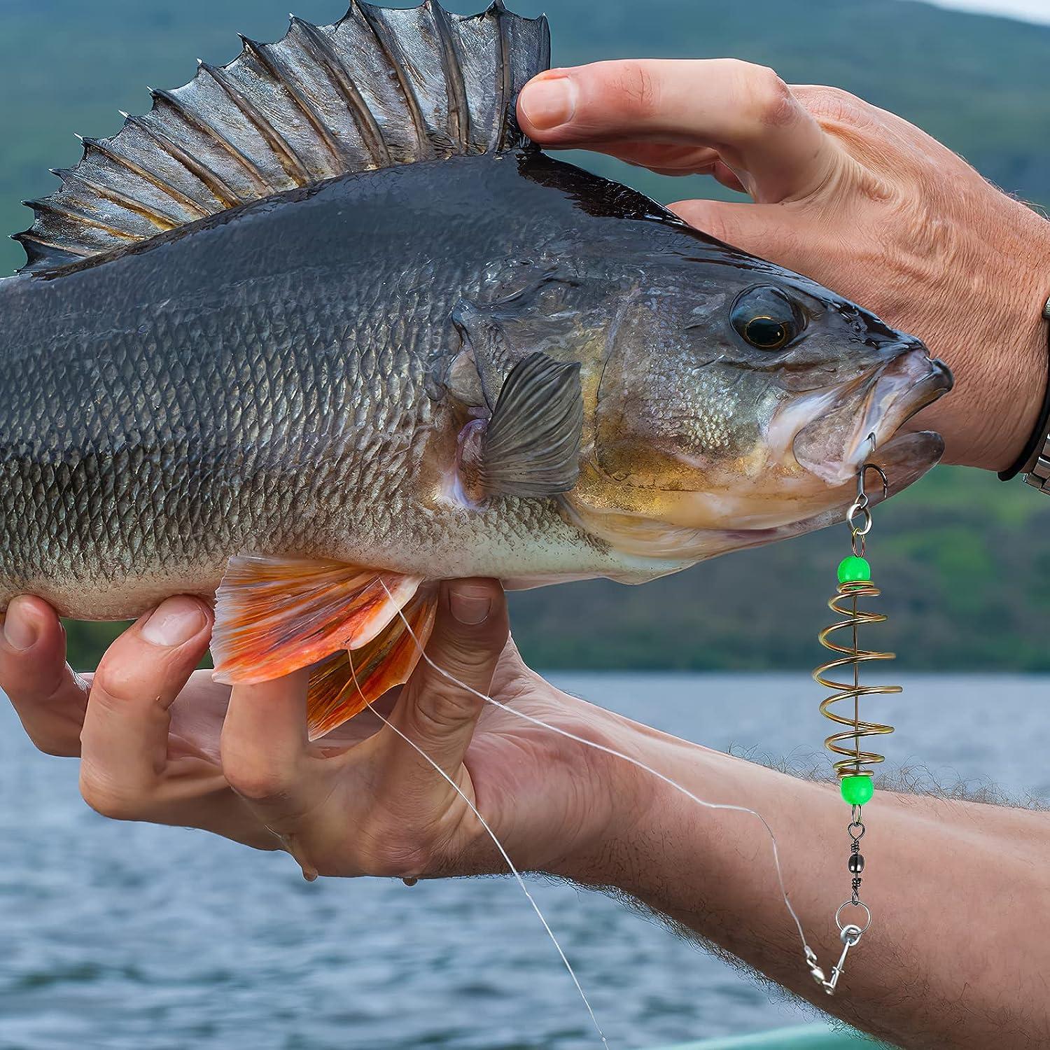 Fishing Bait Holder Accessories Carp Fishing Bait Holder Fishing Tackle  (8#)