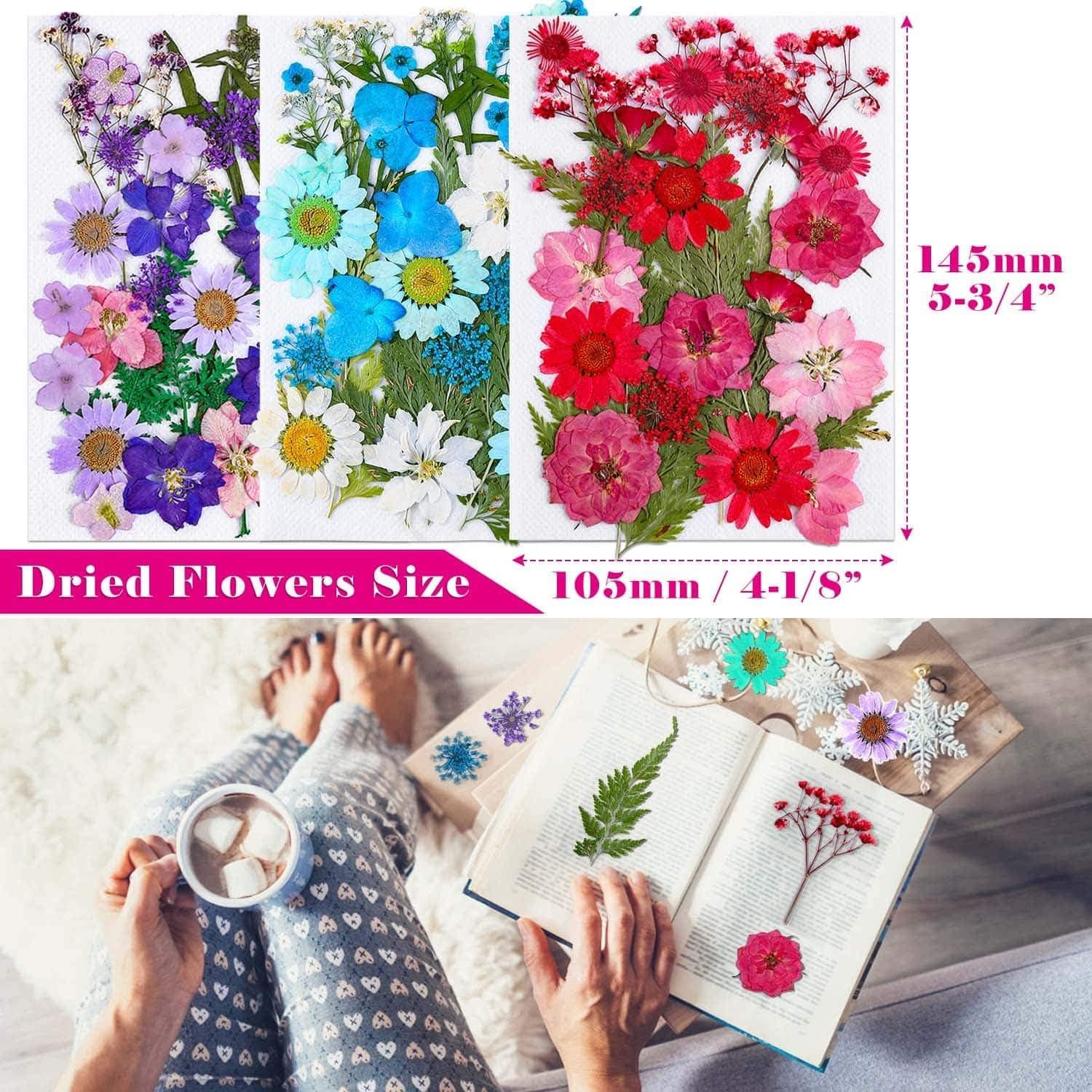 Natural Dried Flowers for Resin Mold, Real Dried Pressed Flowers Dry Leaves  Real Herbs Kit for DIY Arts Crafts, Epoxy Resin Molds, Jewelry, Nail Decor,  Candle, Soap Making, Scrapbooking price in Saudi