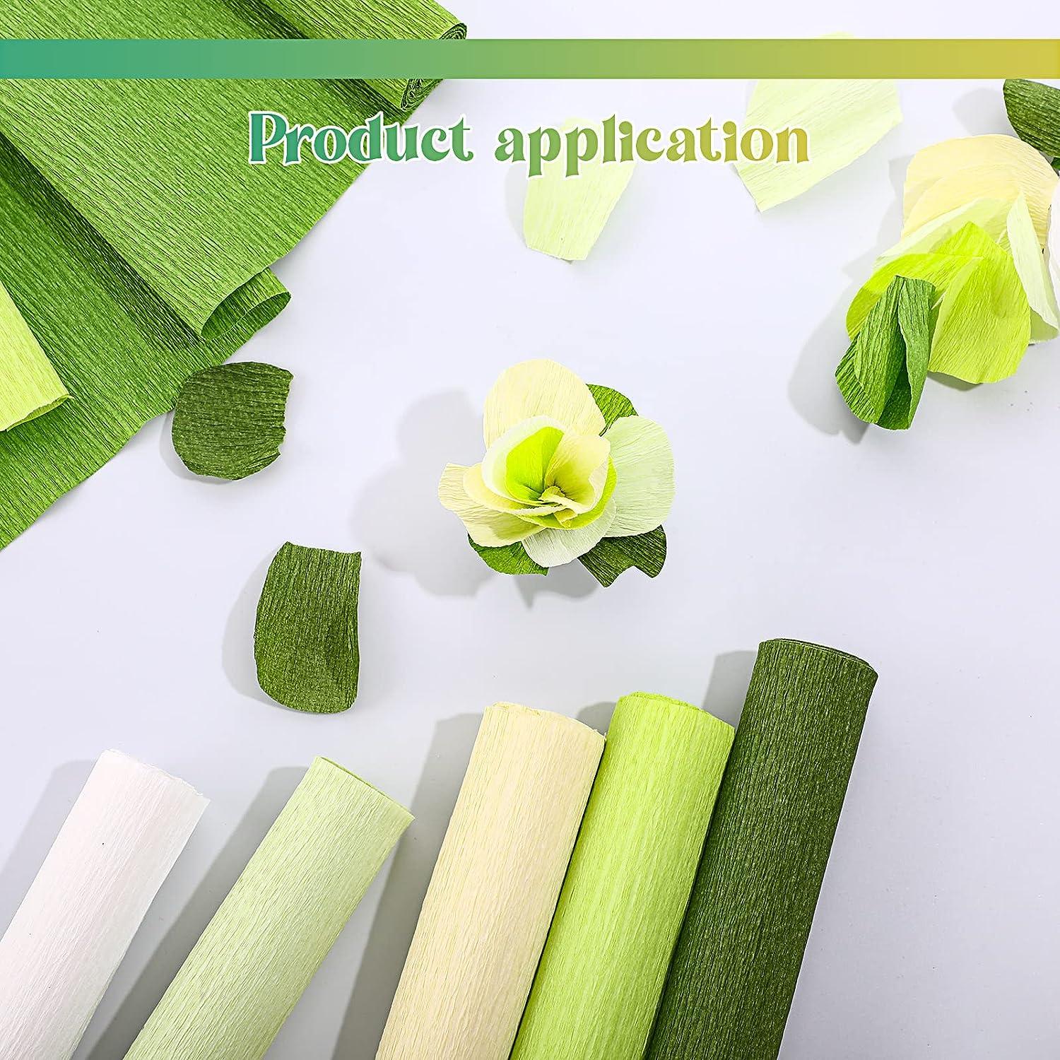 Crepe Paper Flower DIY Kit, 6pcs 35g Crepe Papel Rolls with Green Floral  Tape and 50pcs Floral Iron Wires for Crafting Wedding Birthday Party  Festival