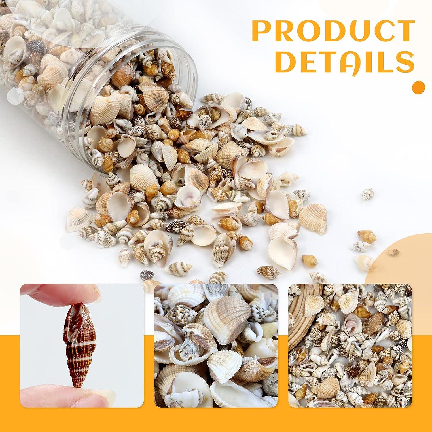 WEOXPR Mixed Sea Shells, 100+ Pcs Beach Seashells Starfish, Various Sizes  Ocean Seashells for Fish Tank Vase Fillers, Beach Theme Party Wedding  Decor, Candle Making, DIY Crafts, Home Decorations