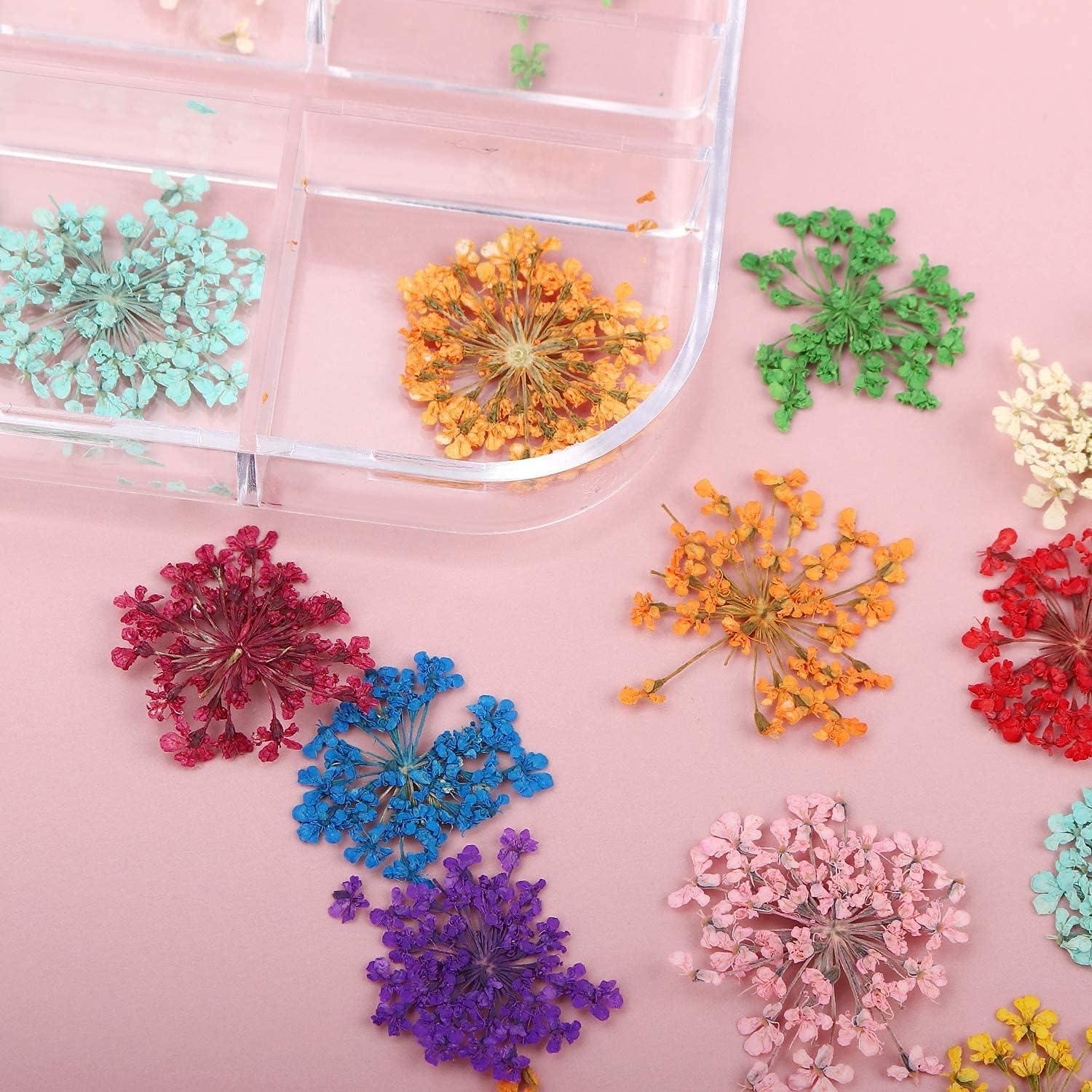 LPOne 60 pcs 3D Nails Dried Flowers Resin Accessories Mini Natural for Nail  Art Supplies Decal Mixed Accessory Starry Flower Stickers Colorful Dry  Decals(12 Colors). 2.8 x 0.75 0.67 inches
