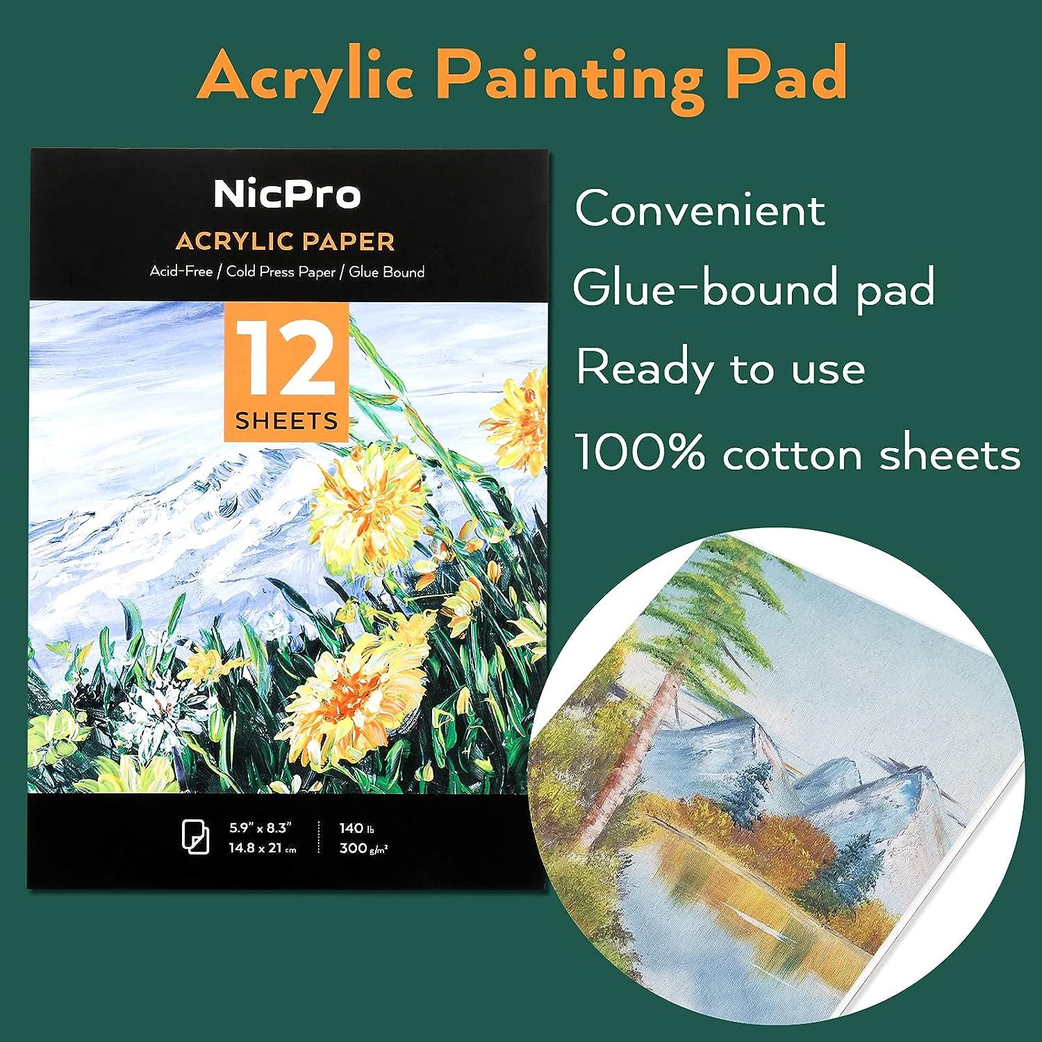  Nicpro 24 Colors Large Bulk Acrylic Paint Set (8.45 oz