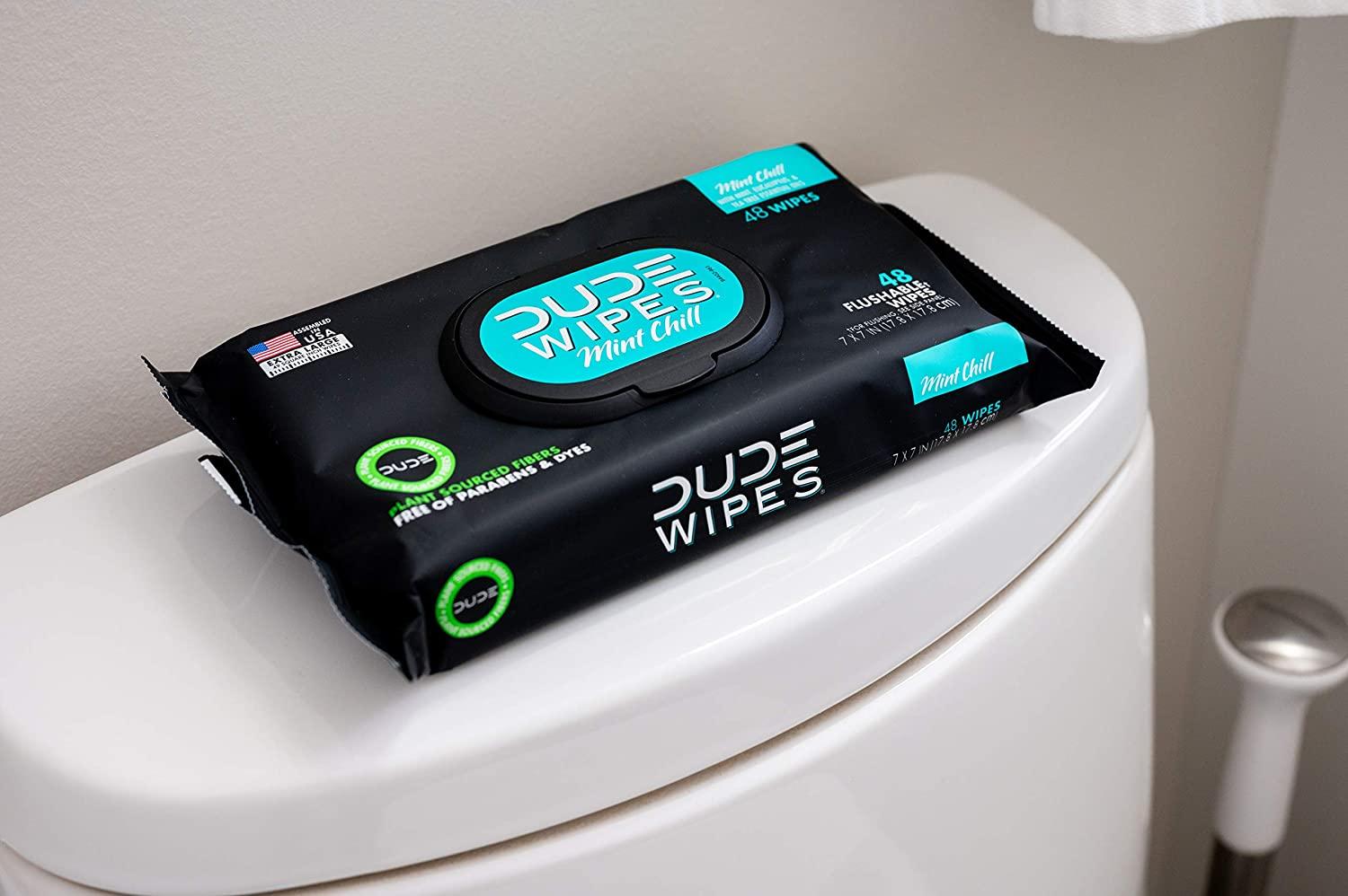 DUDE Flushable Wipes, Mint Chill – DUDE Products