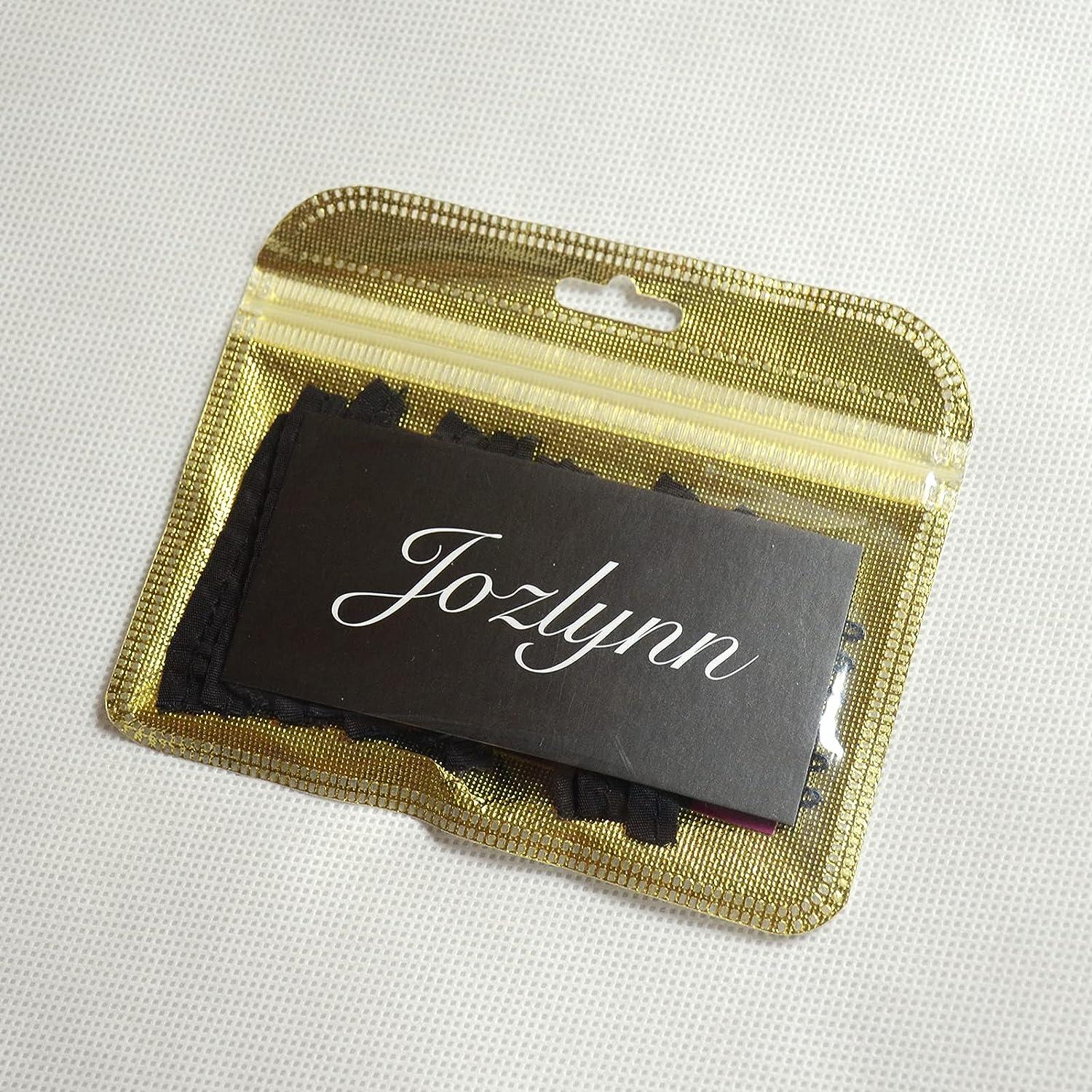 Jozlynn 12pcs Wig Combs for Making Wig,6 Teeth Wig Clips Stell Tooth For  Hairpiece Caps DIY (12 pcs, Black)
