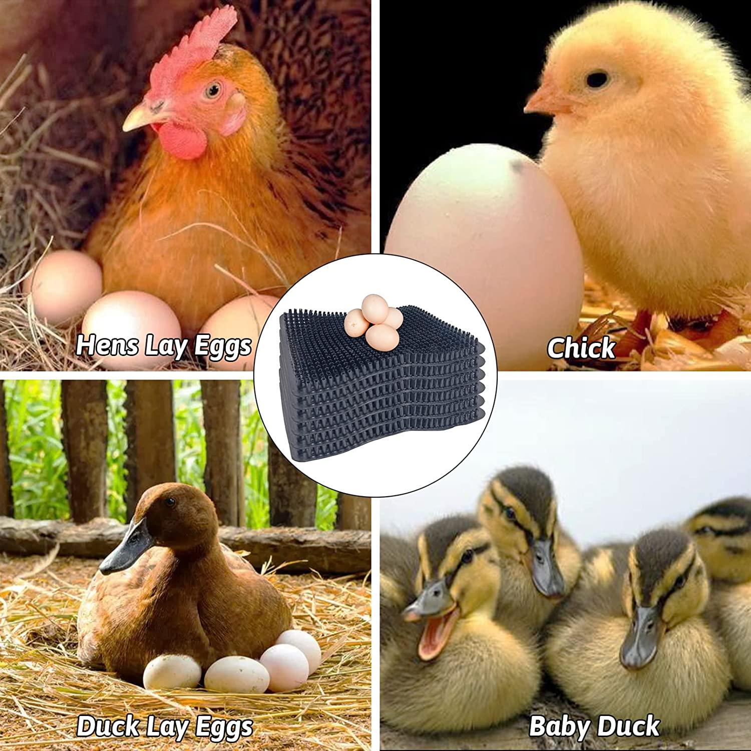 Washable henhouse pads for laying eggs Chicken Nesting Box