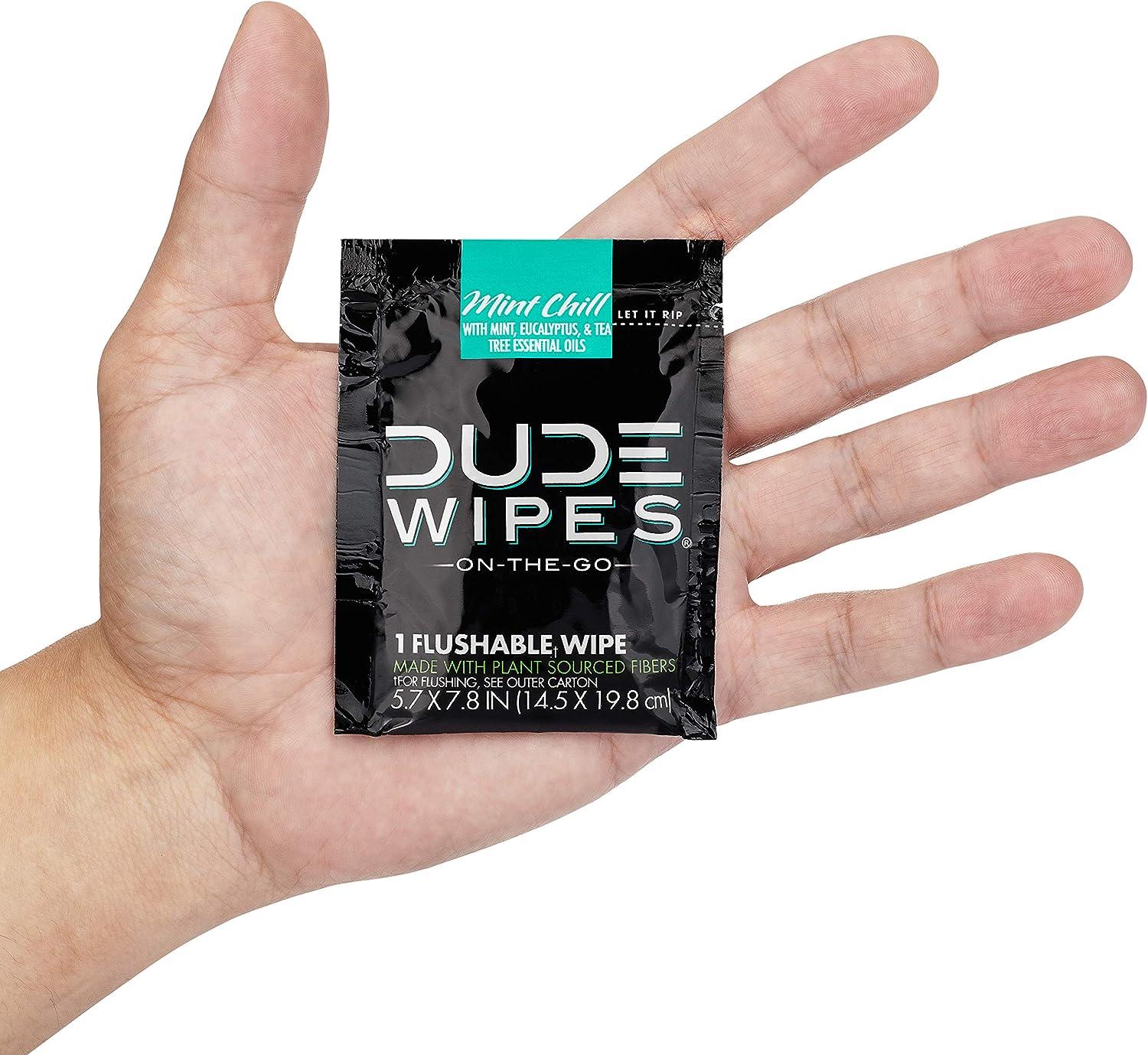 DUDE Wipes On-The-Go Flushable Wet Wipes - 1 Pack, 30 Wipes - Mint Chill  Extra-Large Individually Wrapped Wipes with Eucalyptus & Tea Tree Oil -  Septic and Sewer Safe