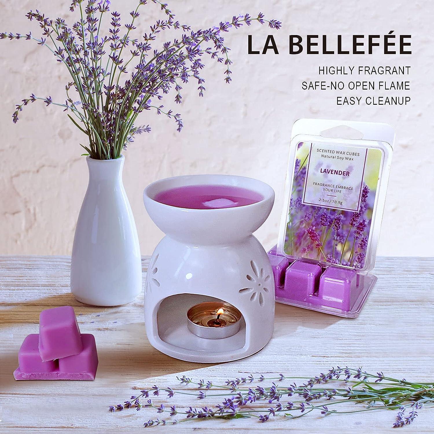  LA BELLEFÉE Wax Melts Wax Cubes, Natural Soy Wax Cubes Candle  Melts, Scented Wax Melts for Wax Warmer Mothers Day Gifts Decor, Floral of  Rose, Lavender, Jasmine, Cherry for Spa Relaxing