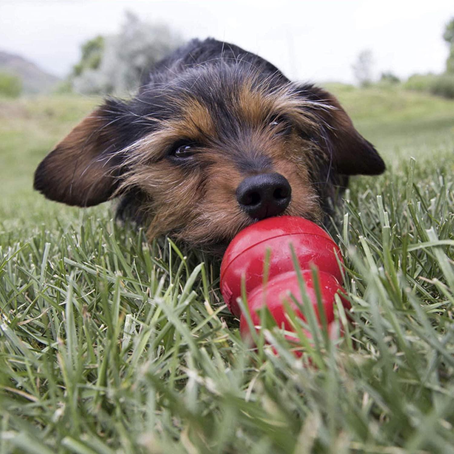 ULTIMATE Kong Bundle - Kong Dog Toy Classic Bundled with Kong Easy Treat  (Peanut Butter Flavor)