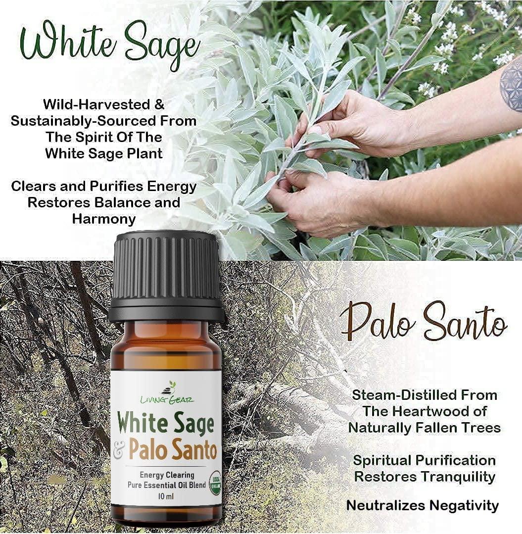 White Sage & Palo Santo Purification Essential Oil - Clears