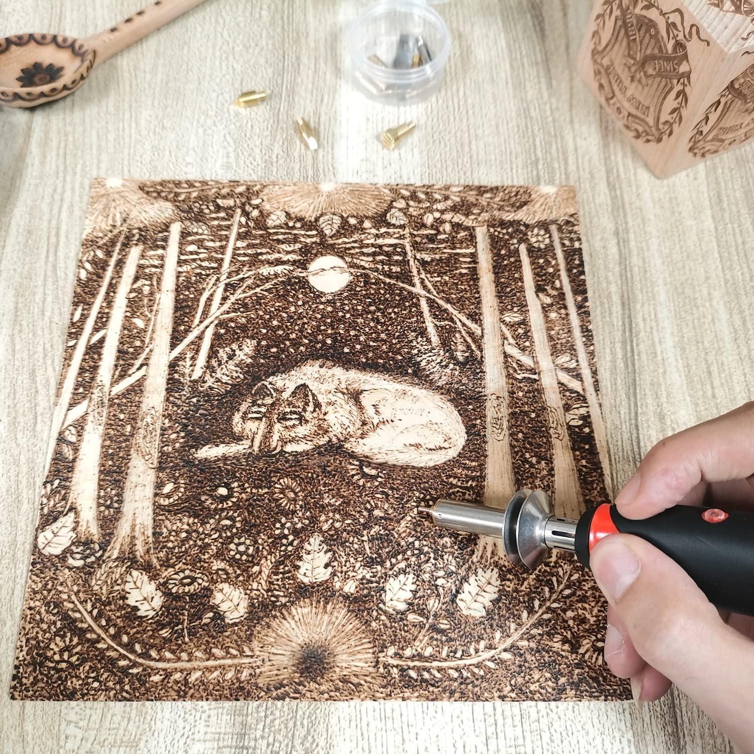 Wood Burning kit, Professional WoodBurning Pen Tool, DIY Creative Tools , Wood Burner for Embossing/Carving/Pyrography,Suitable for Beginners,Adults