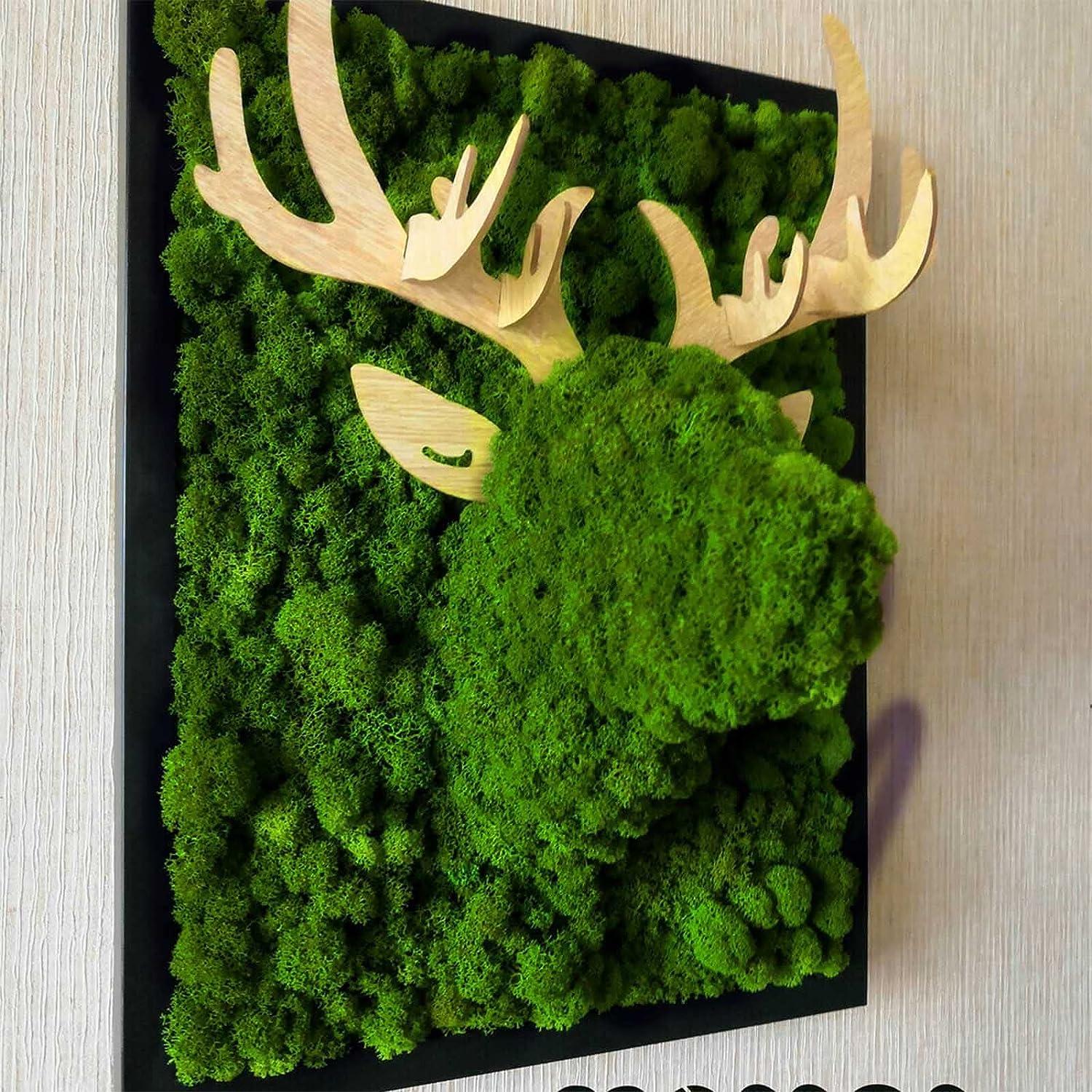 Preserved Reindeer Moss-floral Moss-4 Oz Bag in Many Colors-deer