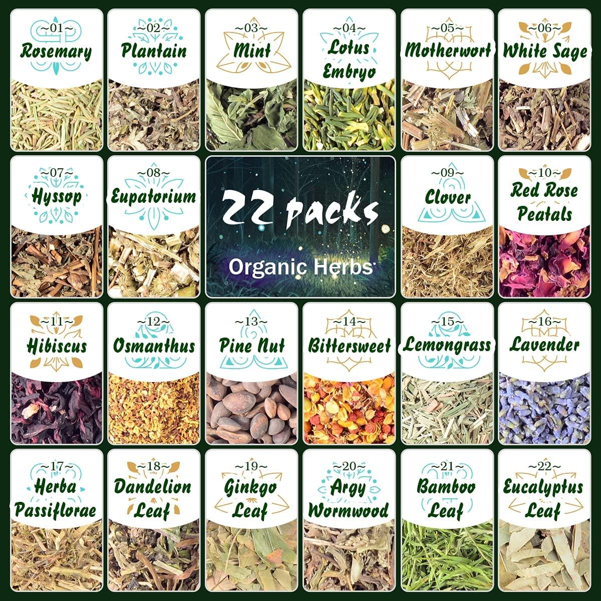 Dried Herbs Witchcraft Supplies, 22 Natural Witch Herbs for Spells