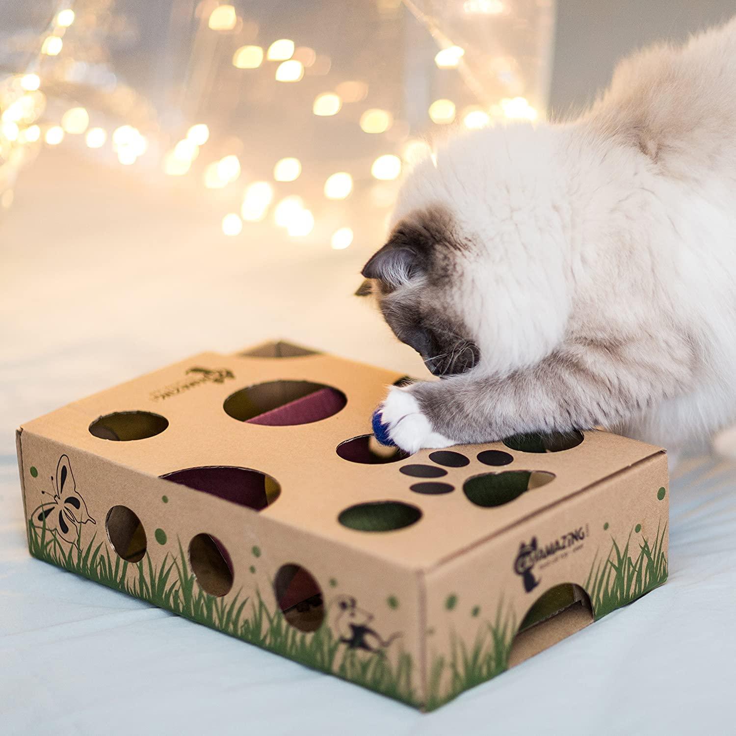 Cat Amazing Classic Cat Puzzle Feeder Interactive Enrichment Toy Cat Treat  Puzzle Box Food Maze for Indoor Cats Best Cat Toy Ever!