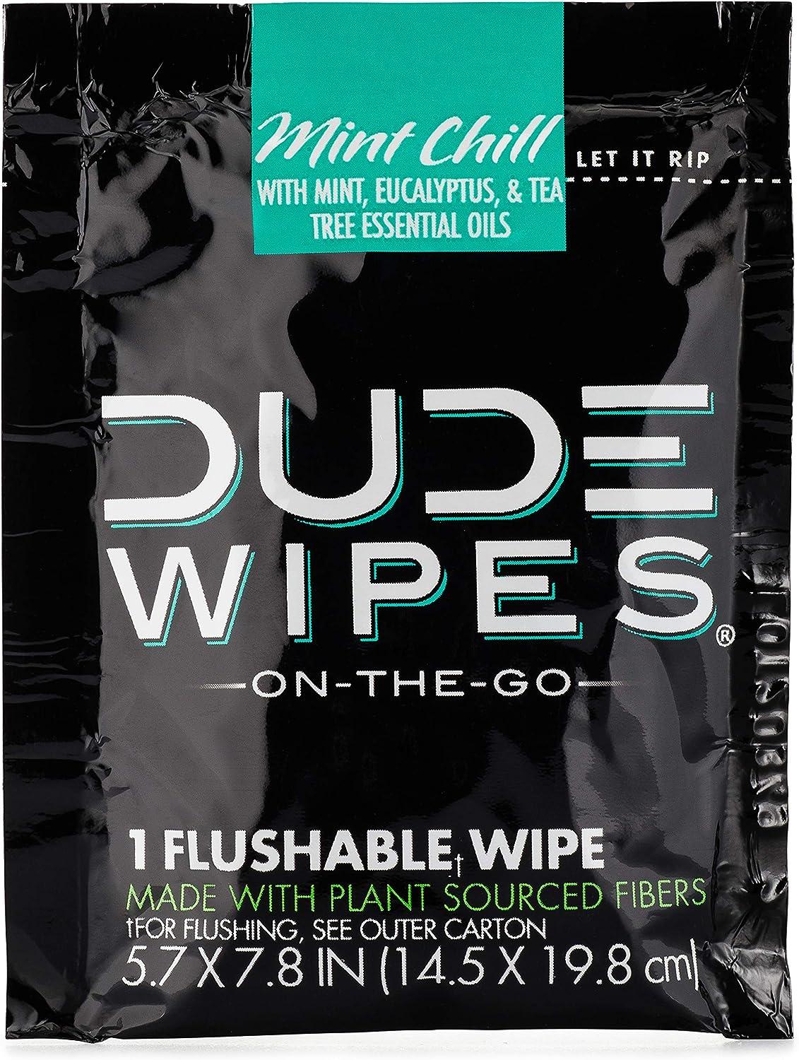 Dude Wipes vs Dude Wipes Mint Chill 