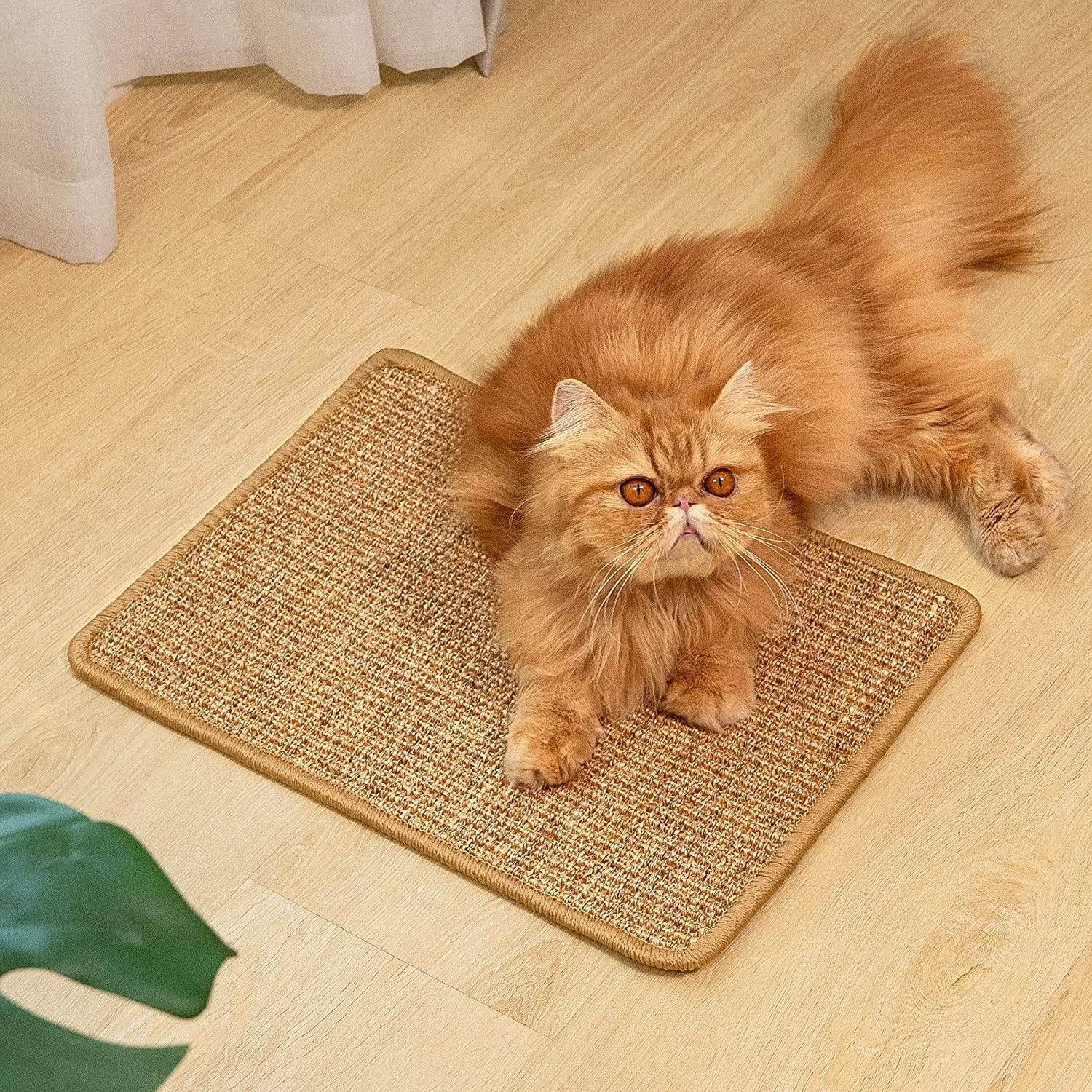 Conlun Cat Scratcher Mat,Natural Sisal Cat Scratch Pad,Horizontal Floor Cat  Scratching Pads Rug for Indoor Cats Grinding Claws Nails,Cat Furniture  Protector for Couch & Carpets & Sofas 1 Pack-XS (11.8'' X 15.7)